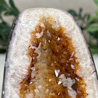 Extra Plus Quality Citrine Cluster w/ flat base, 4" Tall 5612 - 0189 - Brazil GemsBrazil GemsExtra Plus Quality Citrine Cluster w/ flat base, 4" Tall 5612 - 0189Small Clusters with Flat Bases5612 - 0189