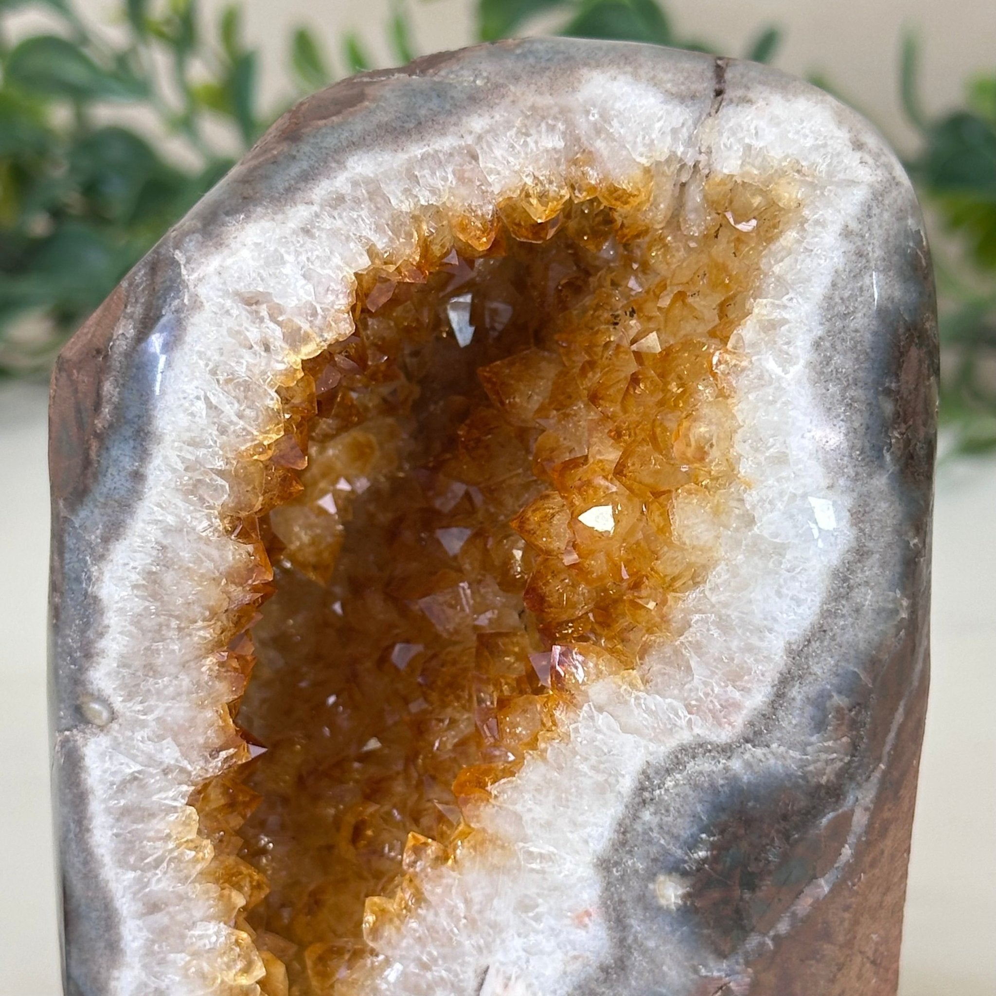 Extra Plus Quality Citrine Cluster w/ flat base, 4" Tall 5612 - 0219 - Brazil GemsBrazil GemsExtra Plus Quality Citrine Cluster w/ flat base, 4" Tall 5612 - 0219Small Clusters with Flat Bases5612 - 0219
