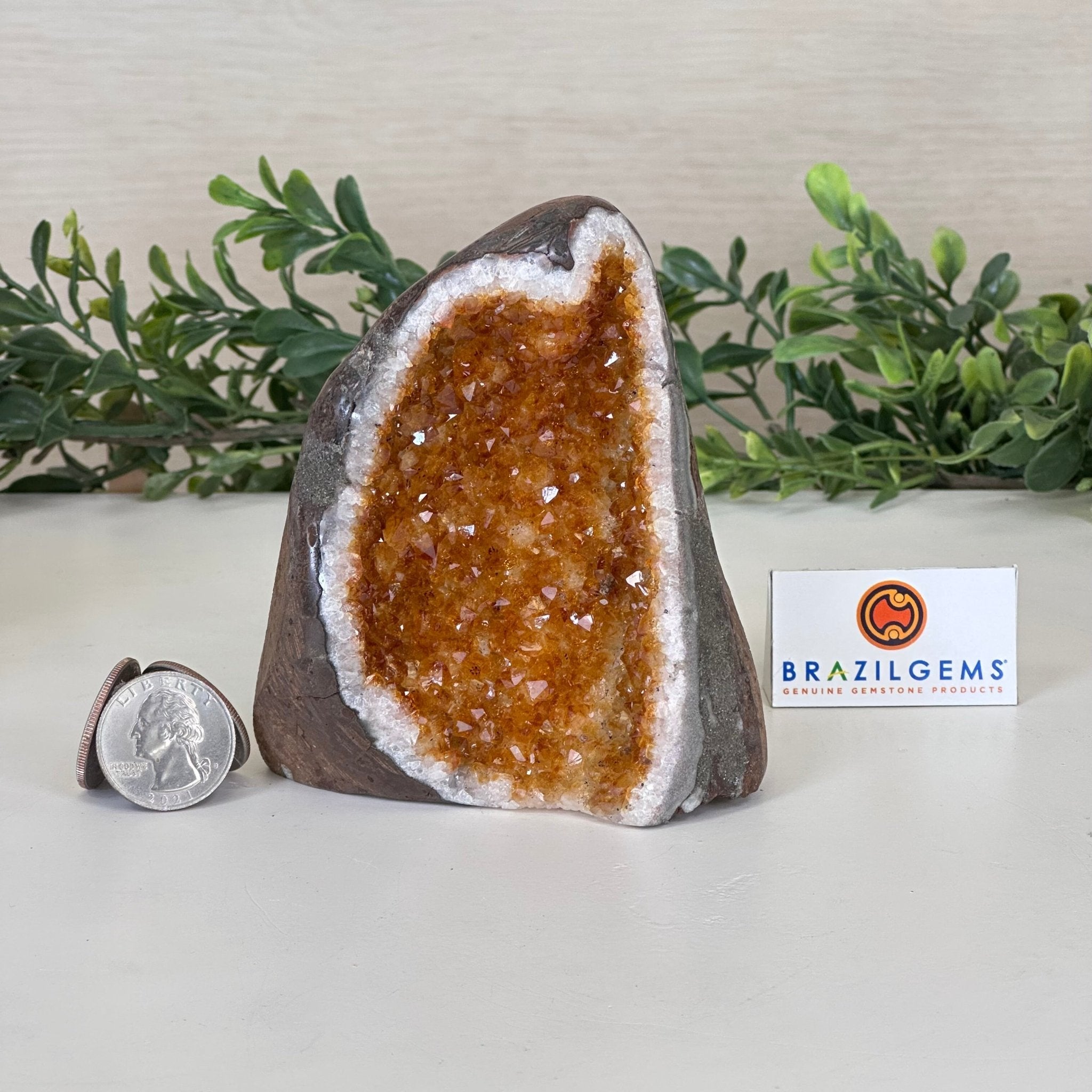 Extra Plus Quality Citrine Cluster w/ flat base, 4.1" Tall 5612 - 0195 - Brazil GemsBrazil GemsExtra Plus Quality Citrine Cluster w/ flat base, 4.1" Tall 5612 - 0195Small Clusters with Flat Bases5612 - 0195