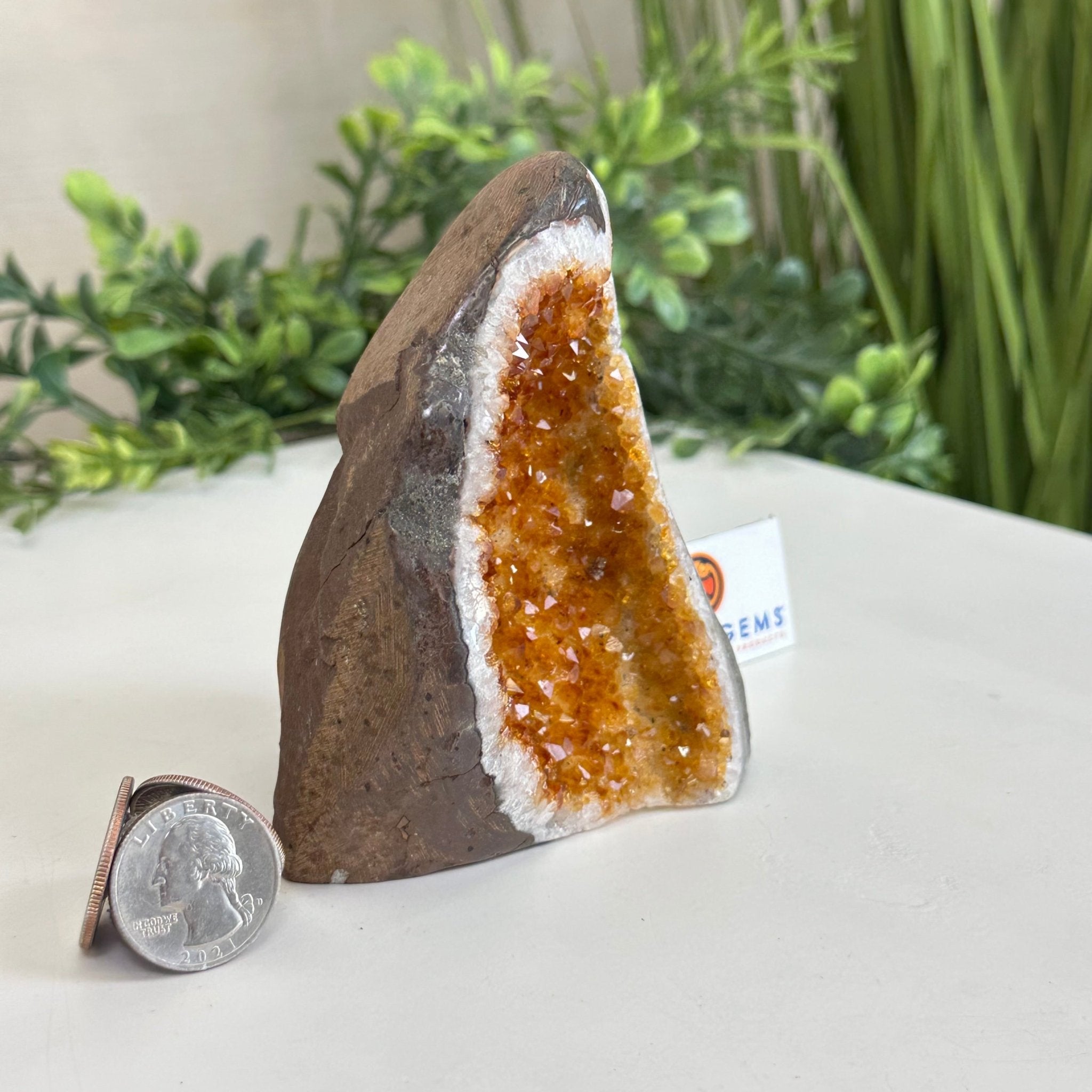 Extra Plus Quality Citrine Cluster w/ flat base, 4.1" Tall 5612 - 0195 - Brazil GemsBrazil GemsExtra Plus Quality Citrine Cluster w/ flat base, 4.1" Tall 5612 - 0195Small Clusters with Flat Bases5612 - 0195