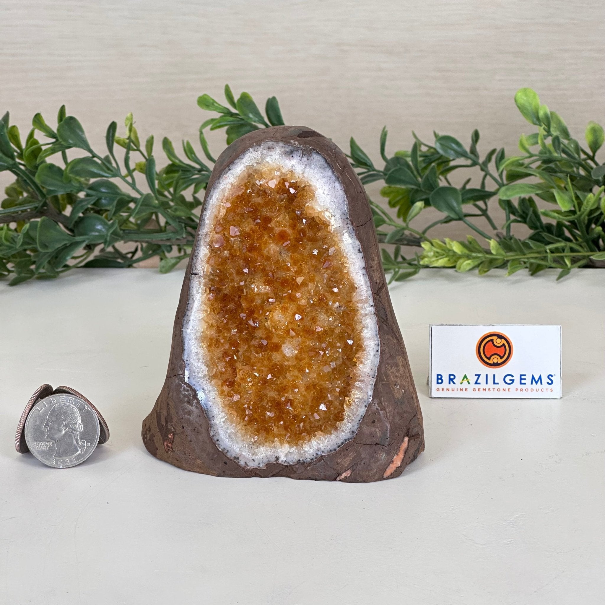 Extra Plus Quality Citrine Cluster w/ flat base, 4.1" Tall 5612 - 0209 - Brazil GemsBrazil GemsExtra Plus Quality Citrine Cluster w/ flat base, 4.1" Tall 5612 - 0209Small Clusters with Flat Bases5612 - 0209