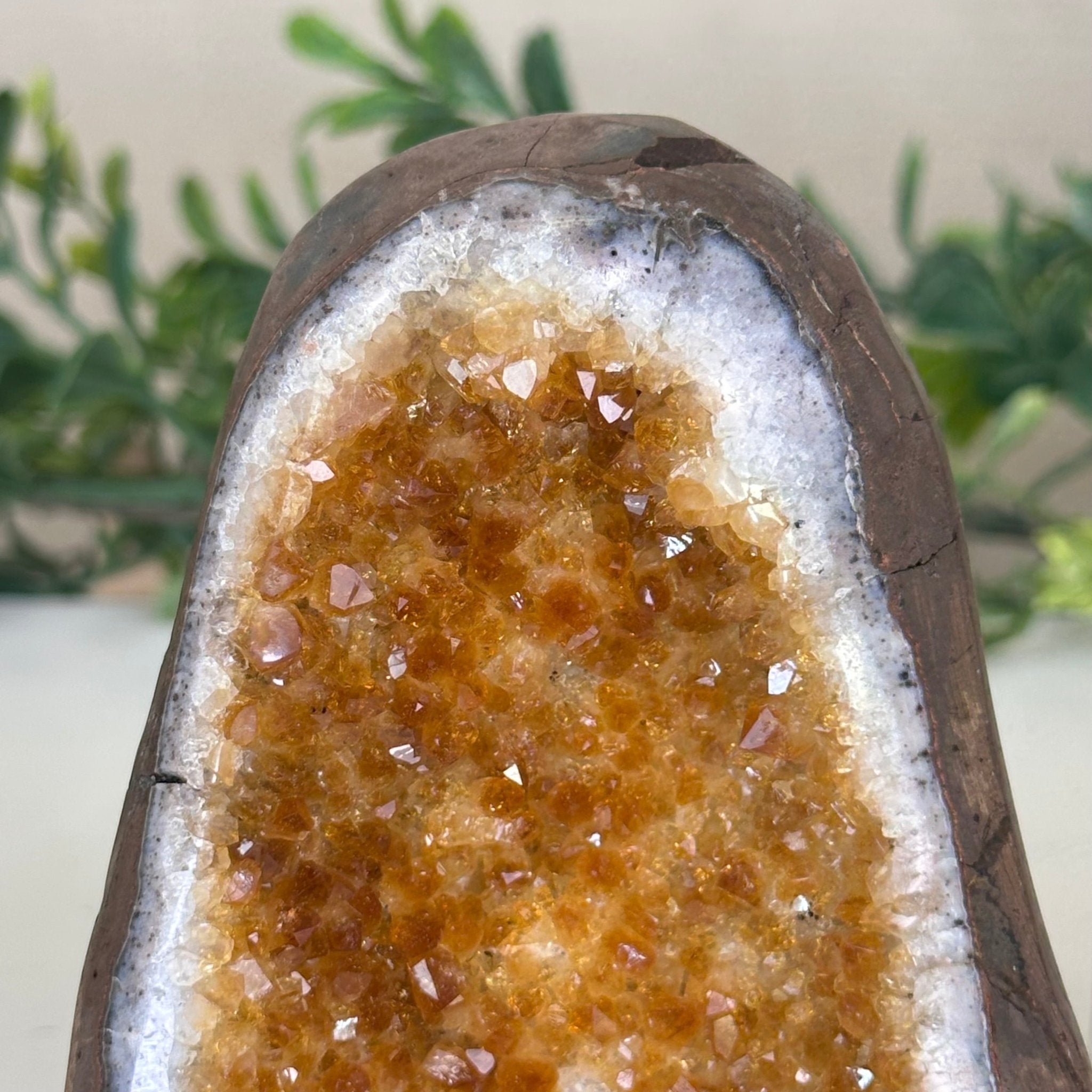 Extra Plus Quality Citrine Cluster w/ flat base, 4.1" Tall 5612 - 0209 - Brazil GemsBrazil GemsExtra Plus Quality Citrine Cluster w/ flat base, 4.1" Tall 5612 - 0209Small Clusters with Flat Bases5612 - 0209