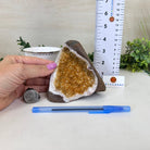Extra Plus Quality Citrine Cluster w/ flat base, 4.1" Tall 5612 - 0218 - Brazil GemsBrazil GemsExtra Plus Quality Citrine Cluster w/ flat base, 4.1" Tall 5612 - 0218Small Clusters with Flat Bases5612 - 0218
