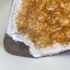 Extra Plus Quality Citrine Cluster w/ flat base, 4.1" Tall 5612 - 0218 - Brazil GemsBrazil GemsExtra Plus Quality Citrine Cluster w/ flat base, 4.1" Tall 5612 - 0218Small Clusters with Flat Bases5612 - 0218