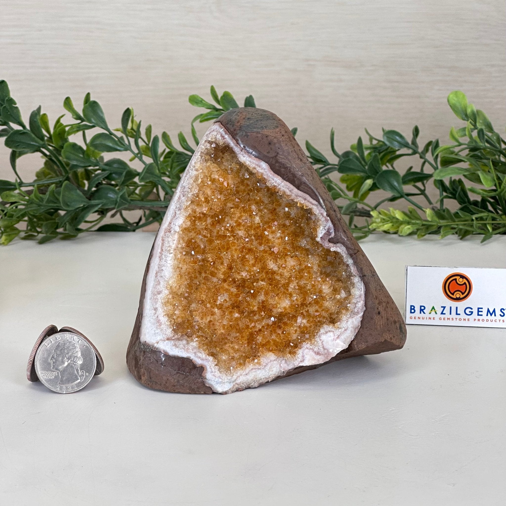 Extra Plus Quality Citrine Cluster w/ flat base, 4.1" Tall 5612 - 0218 - Brazil GemsBrazil GemsExtra Plus Quality Citrine Cluster w/ flat base, 4.1" Tall 5612 - 0218Small Clusters with Flat Bases5612 - 0218