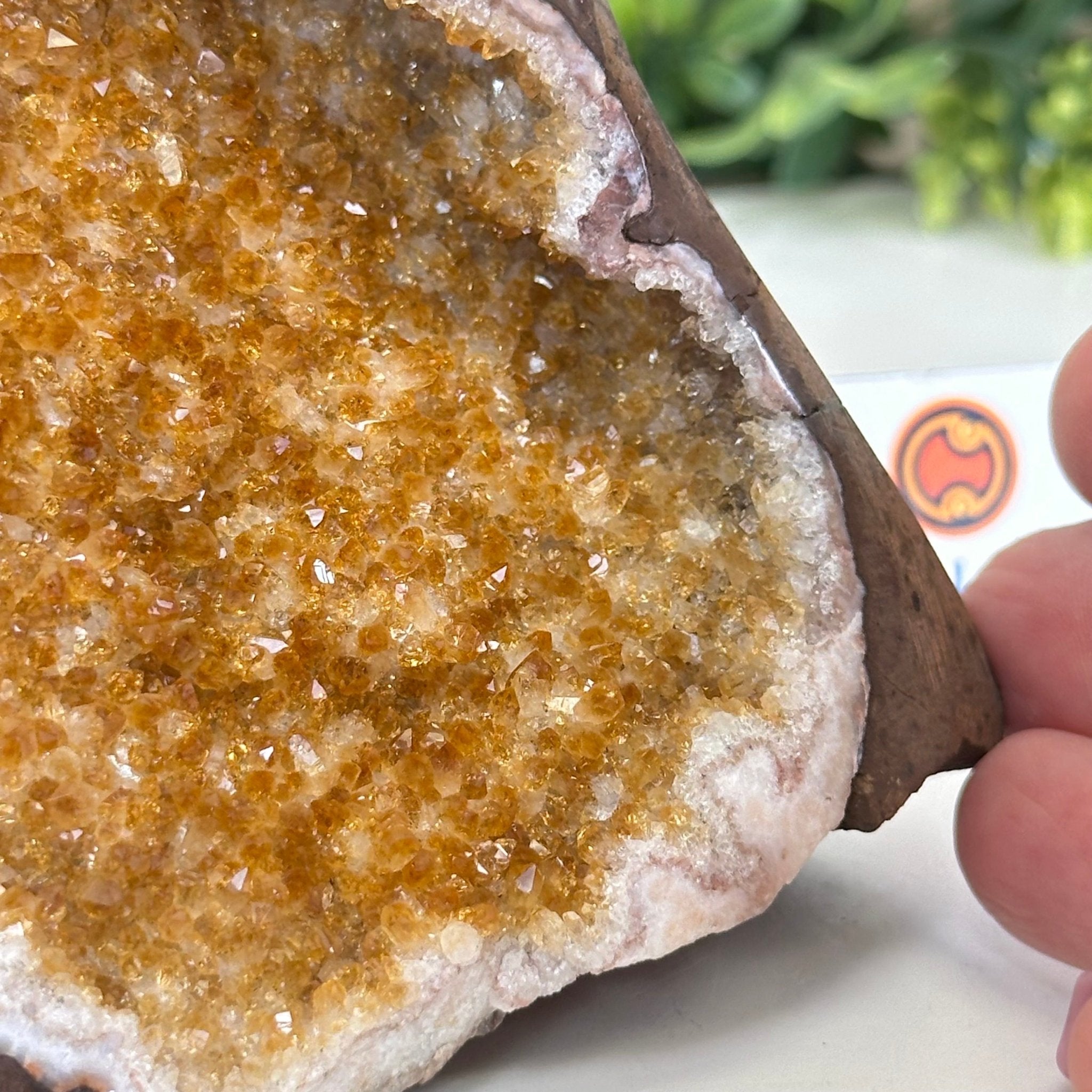 Extra Plus Quality Citrine Cluster w/ flat base, 4.1" Tall 5612 - 0218 - Brazil GemsBrazil GemsExtra Plus Quality Citrine Cluster w/ flat base, 4.1" Tall 5612 - 0218Small Clusters with Flat Bases5612 - 0218