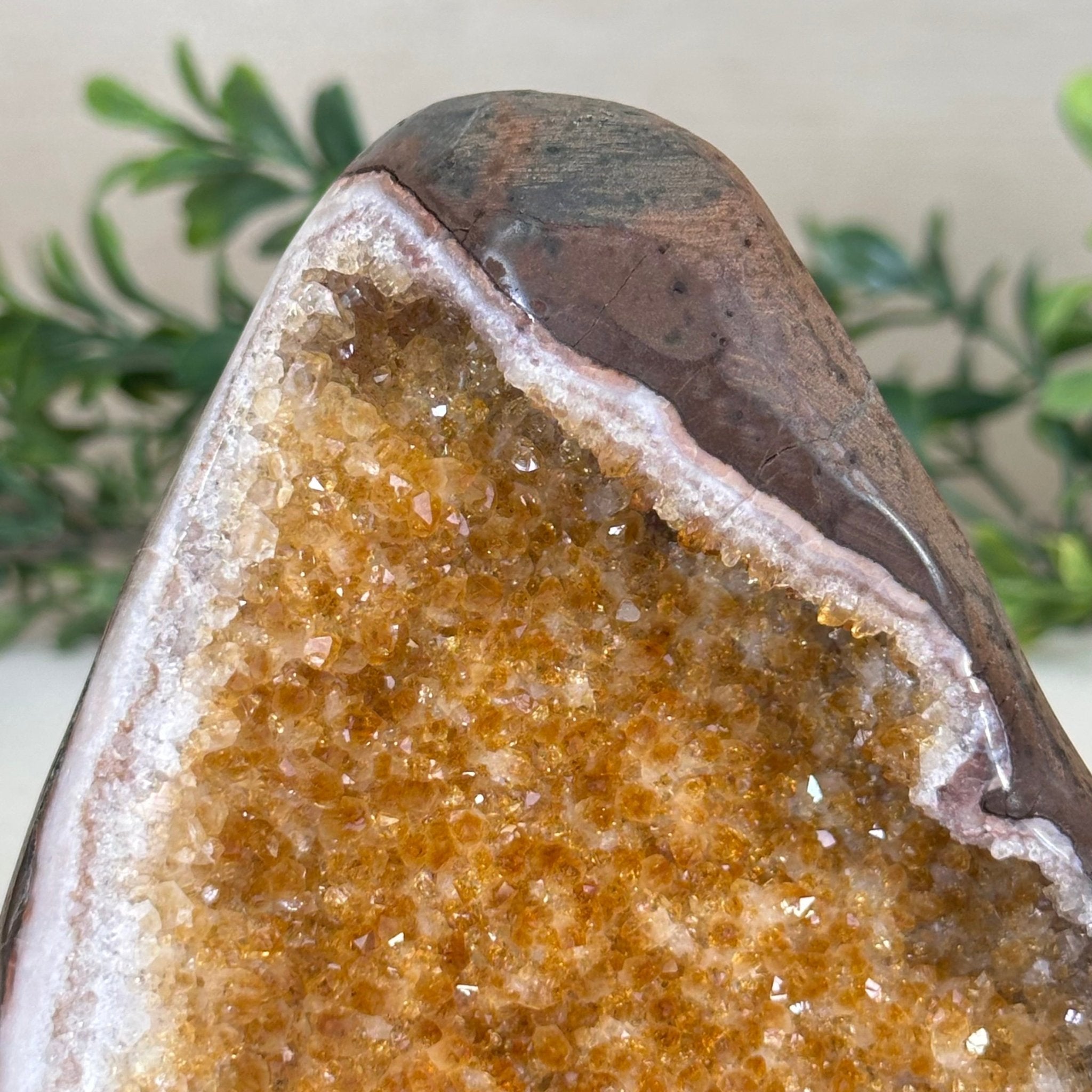 Extra Plus Quality Citrine Cluster w/ flat base, 4.1" Tall 5612 - 0218 - Brazil GemsBrazil GemsExtra Plus Quality Citrine Cluster w/ flat base, 4.1" Tall 5612 - 0218Small Clusters with Flat Bases5612 - 0218