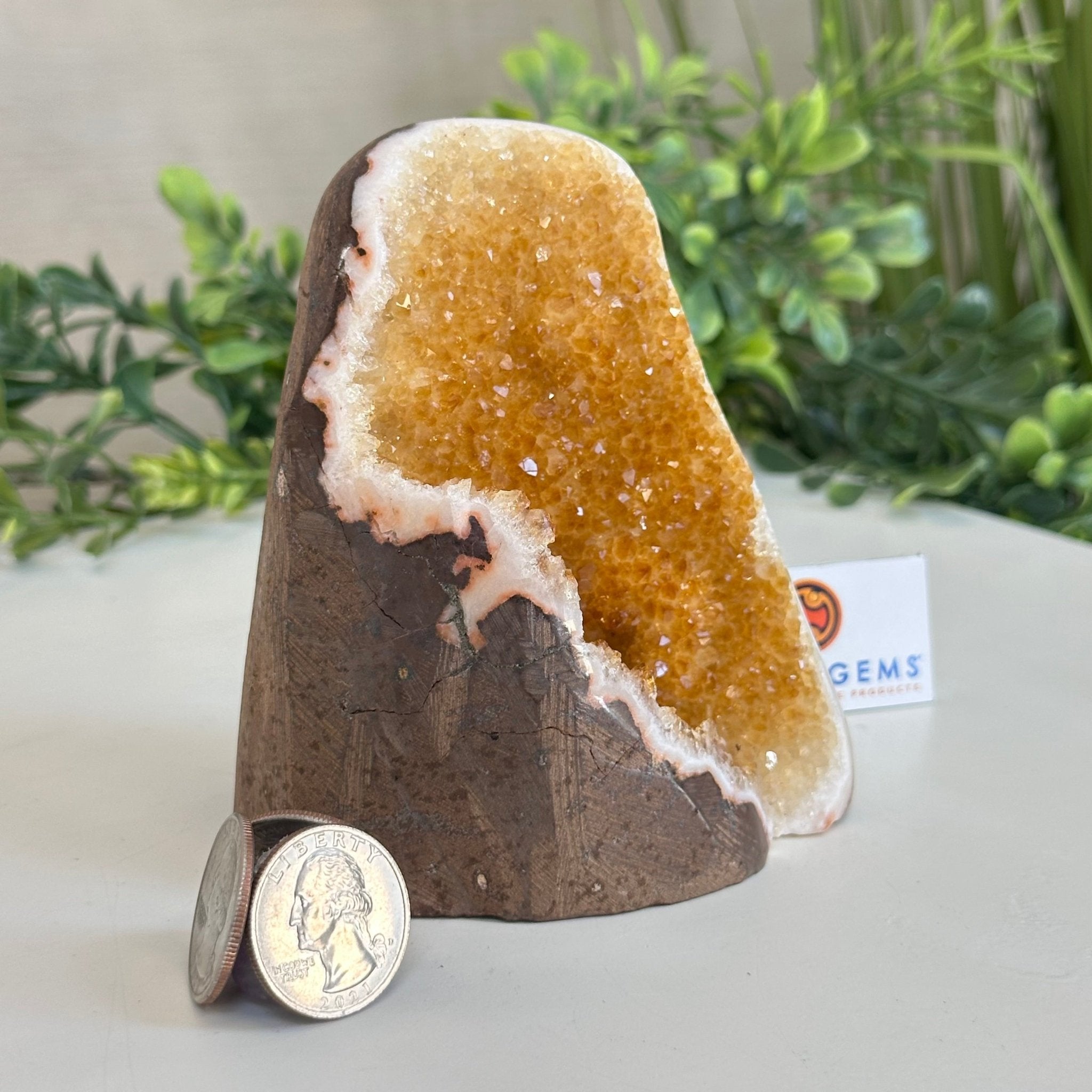Extra Plus Quality Citrine Cluster w/ flat base, 4.2" Tall 5612 - 0201 - Brazil GemsBrazil GemsExtra Plus Quality Citrine Cluster w/ flat base, 4.2" Tall 5612 - 0201Small Clusters with Flat Bases5612 - 0201