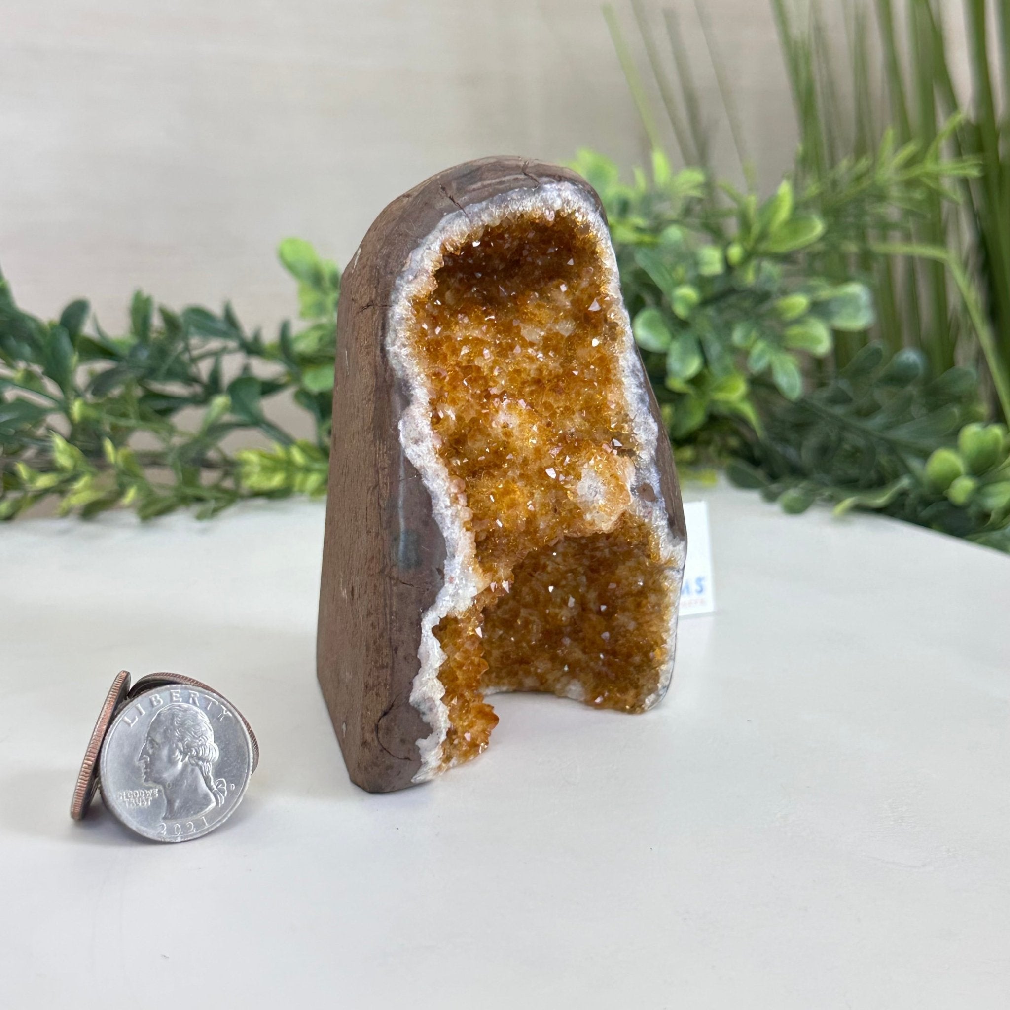Extra Plus Quality Citrine Cluster w/ flat base, 4.2" Tall 5612 - 0202 - Brazil GemsBrazil GemsExtra Plus Quality Citrine Cluster w/ flat base, 4.2" Tall 5612 - 0202Small Clusters with Flat Bases5612 - 0202