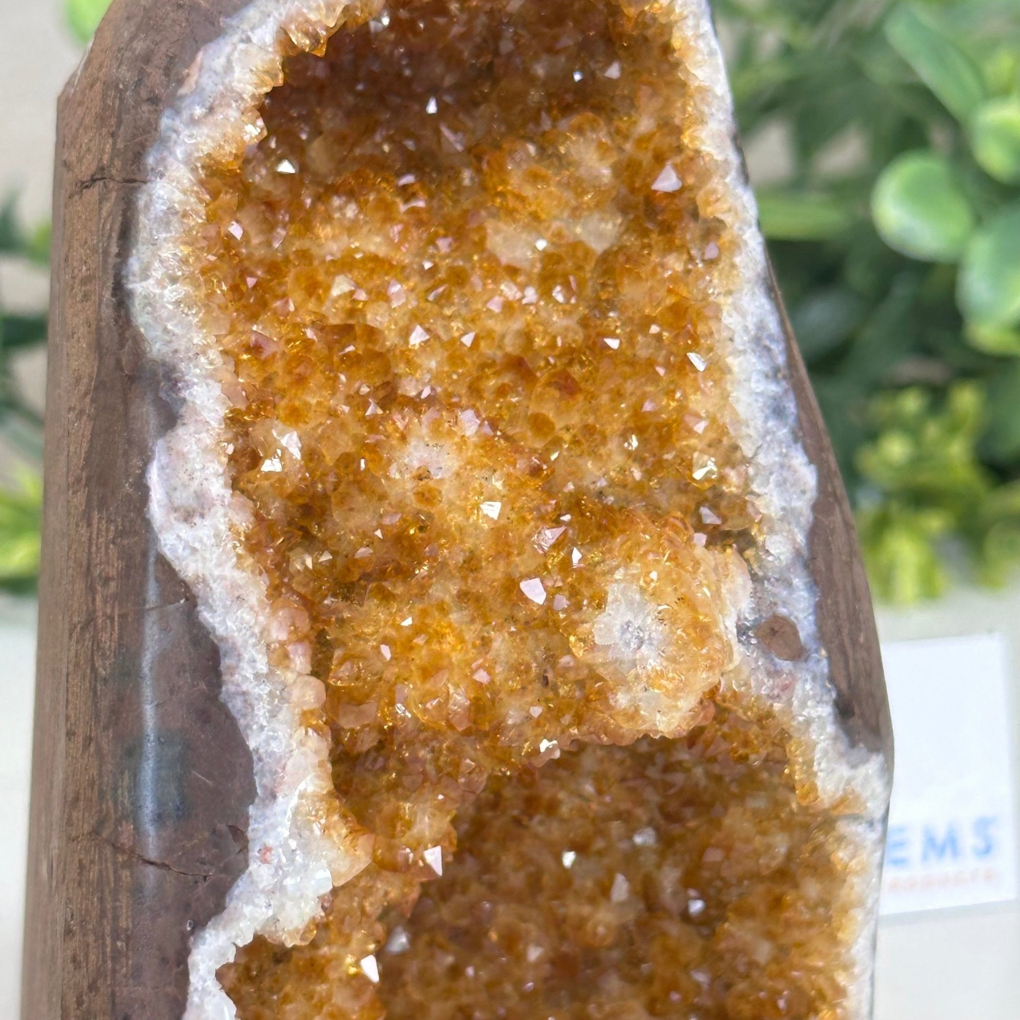 Extra Plus Quality Citrine Cluster w/ flat base, 4.2" Tall 5612 - 0202 - Brazil GemsBrazil GemsExtra Plus Quality Citrine Cluster w/ flat base, 4.2" Tall 5612 - 0202Small Clusters with Flat Bases5612 - 0202