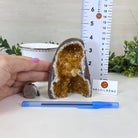 Extra Plus Quality Citrine Cluster w/ flat base, 4.2" Tall 5612 - 0202 - Brazil GemsBrazil GemsExtra Plus Quality Citrine Cluster w/ flat base, 4.2" Tall 5612 - 0202Small Clusters with Flat Bases5612 - 0202
