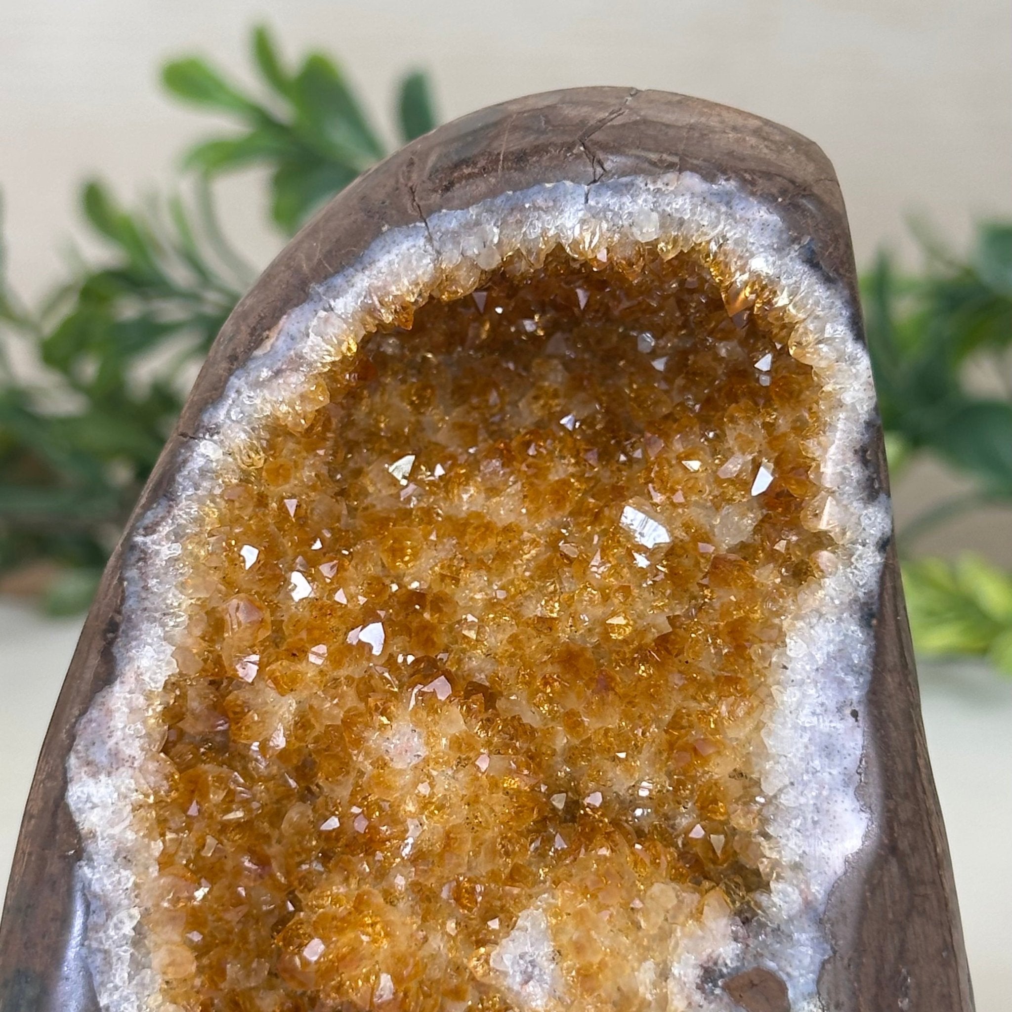Extra Plus Quality Citrine Cluster w/ flat base, 4.2" Tall 5612 - 0202 - Brazil GemsBrazil GemsExtra Plus Quality Citrine Cluster w/ flat base, 4.2" Tall 5612 - 0202Small Clusters with Flat Bases5612 - 0202