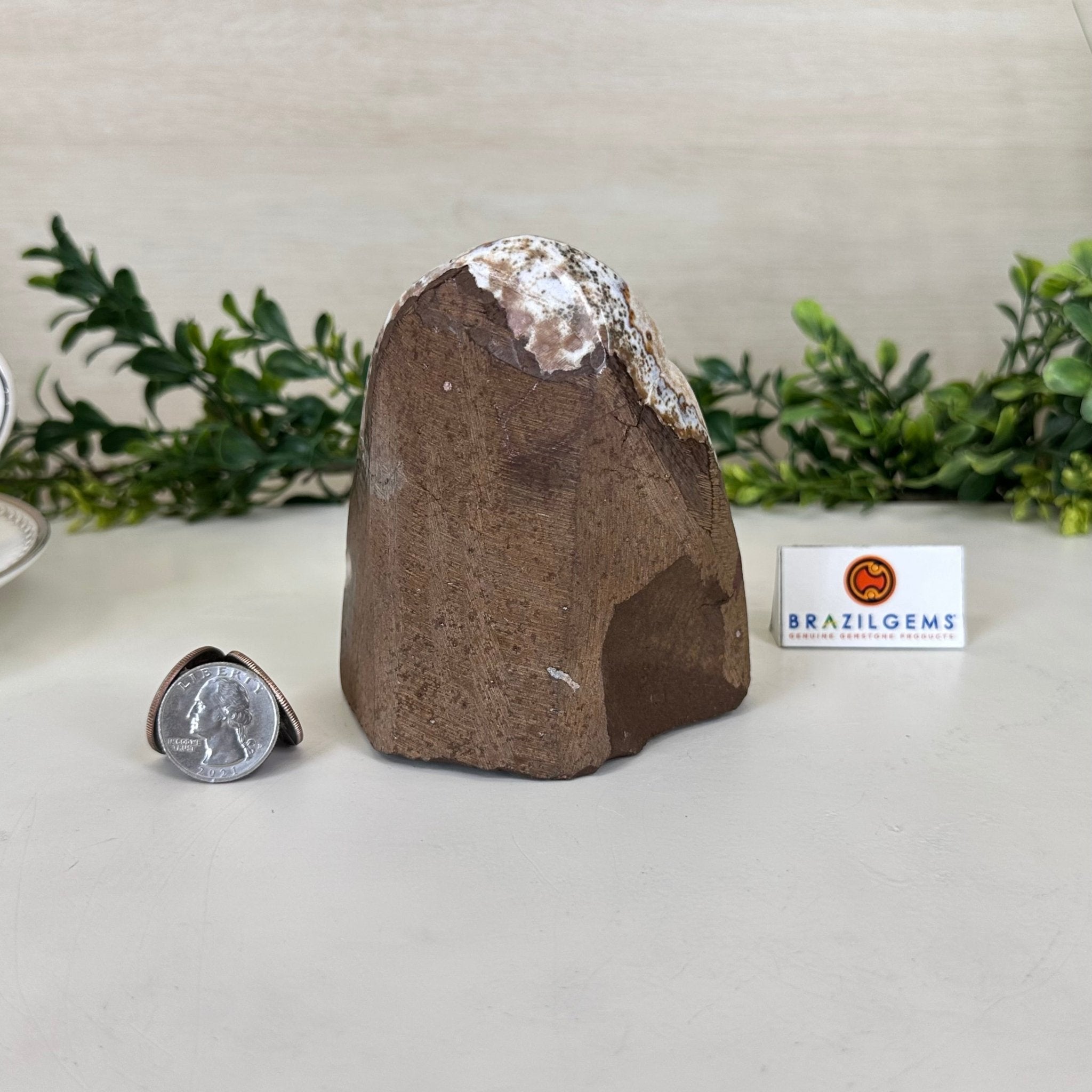 Extra Plus Quality Citrine Cluster w/ flat base, 4.2" Tall 5612 - 0220 - Brazil GemsBrazil GemsExtra Plus Quality Citrine Cluster w/ flat base, 4.2" Tall 5612 - 0220Small Clusters with Flat Bases5612 - 0220