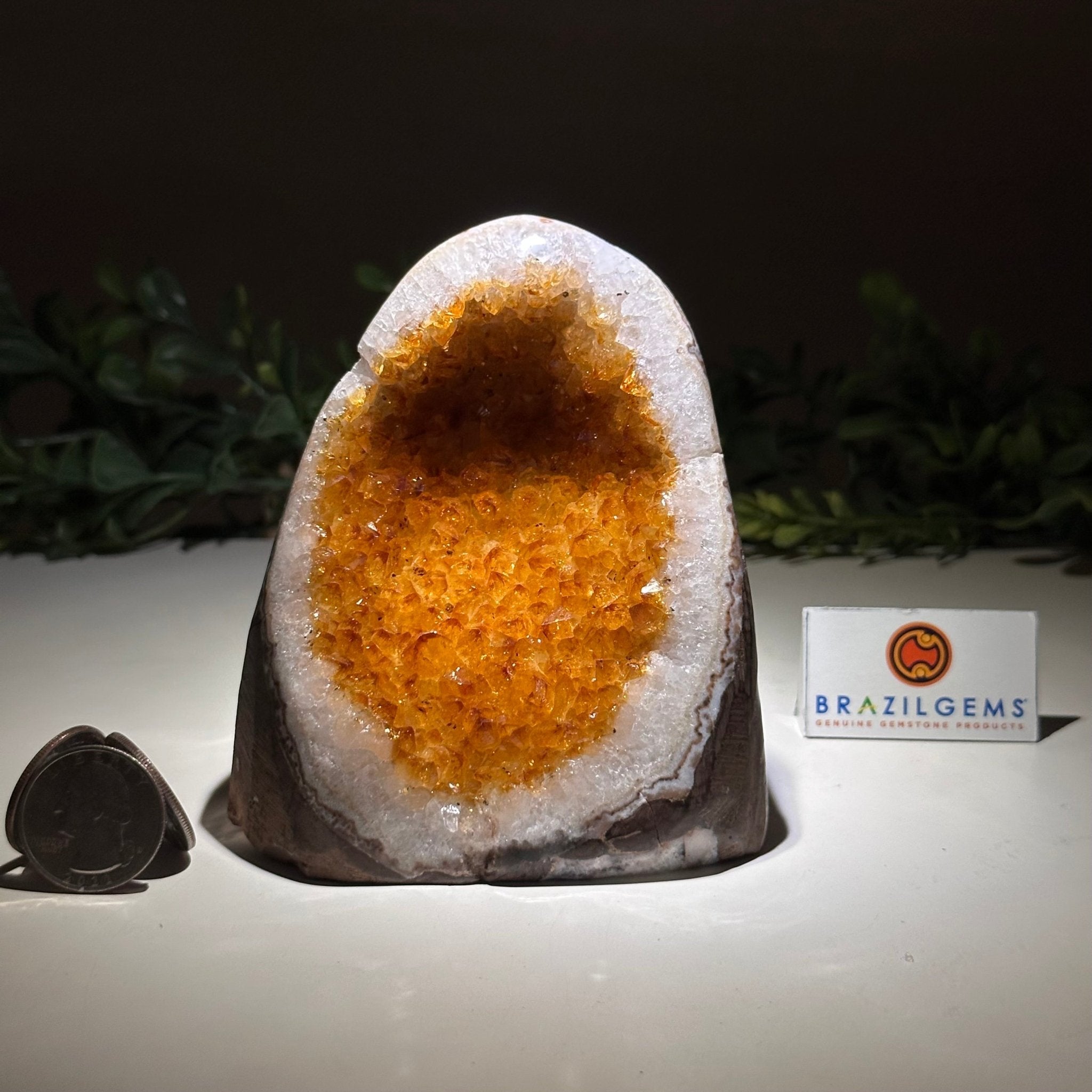 Extra Plus Quality Citrine Cluster w/ flat base, 4.2" Tall 5612 - 0220 - Brazil GemsBrazil GemsExtra Plus Quality Citrine Cluster w/ flat base, 4.2" Tall 5612 - 0220Small Clusters with Flat Bases5612 - 0220