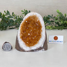Extra Plus Quality Citrine Cluster w/ flat base, 4.2" Tall 5612 - 0220 - Brazil GemsBrazil GemsExtra Plus Quality Citrine Cluster w/ flat base, 4.2" Tall 5612 - 0220Small Clusters with Flat Bases5612 - 0220