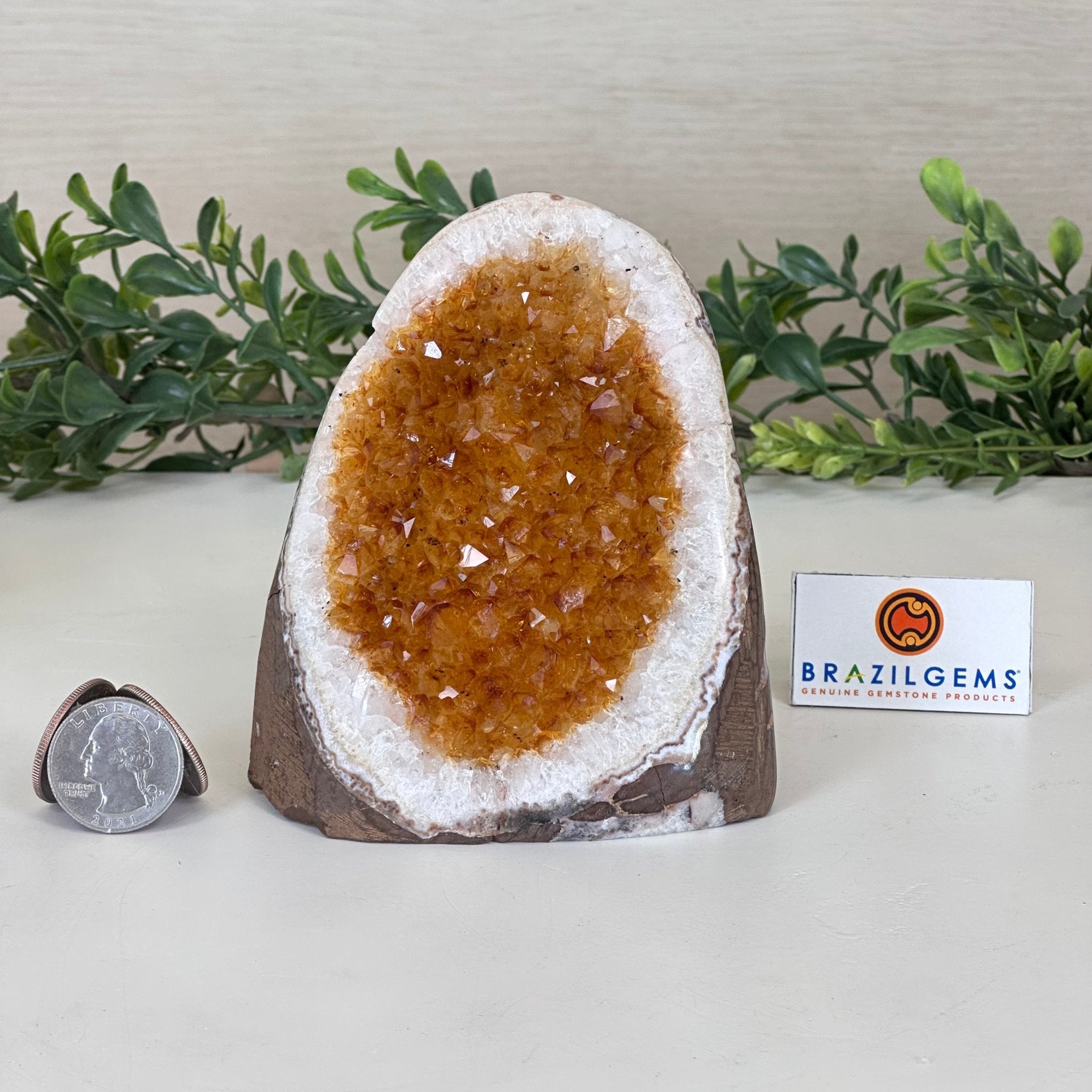 Extra Plus Quality Citrine Cluster w/ flat base, 4.2" Tall 5612 - 0220 - Brazil GemsBrazil GemsExtra Plus Quality Citrine Cluster w/ flat base, 4.2" Tall 5612 - 0220Small Clusters with Flat Bases5612 - 0220