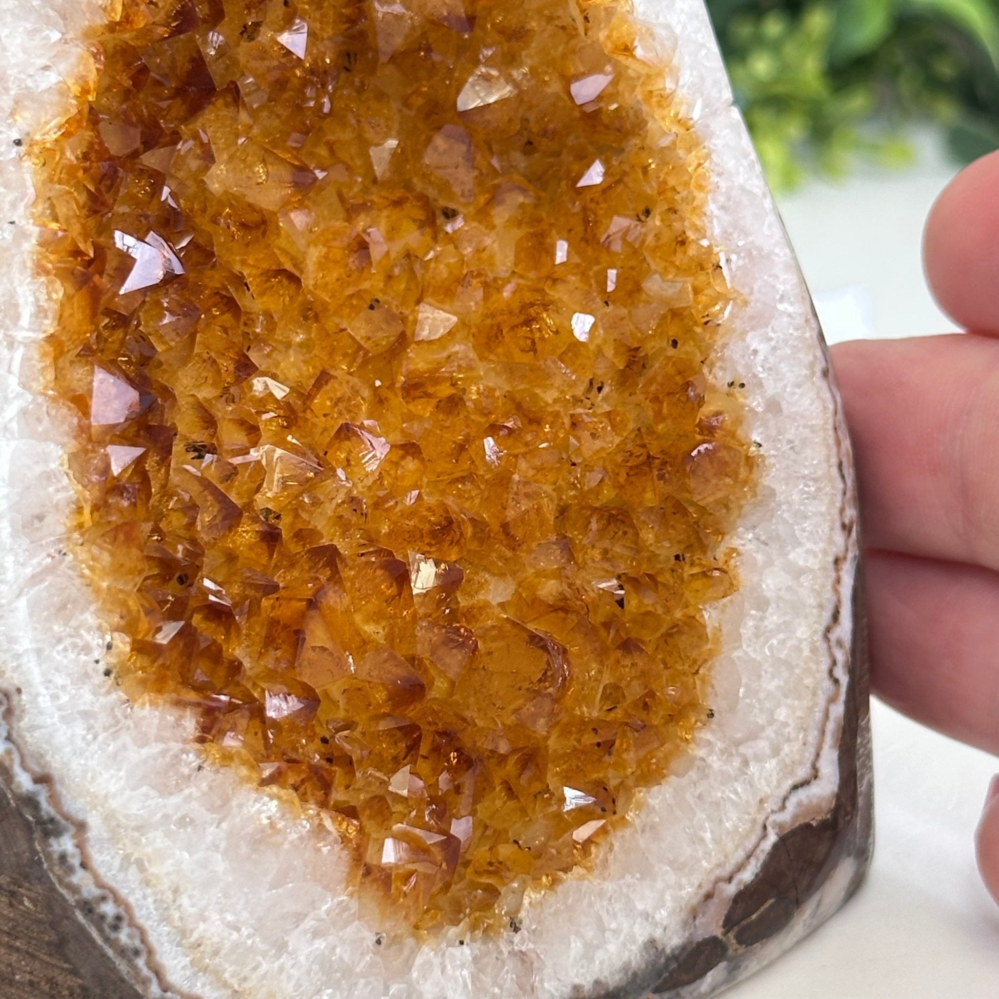 Extra Plus Quality Citrine Cluster w/ flat base, 4.2" Tall 5612 - 0220 - Brazil GemsBrazil GemsExtra Plus Quality Citrine Cluster w/ flat base, 4.2" Tall 5612 - 0220Small Clusters with Flat Bases5612 - 0220