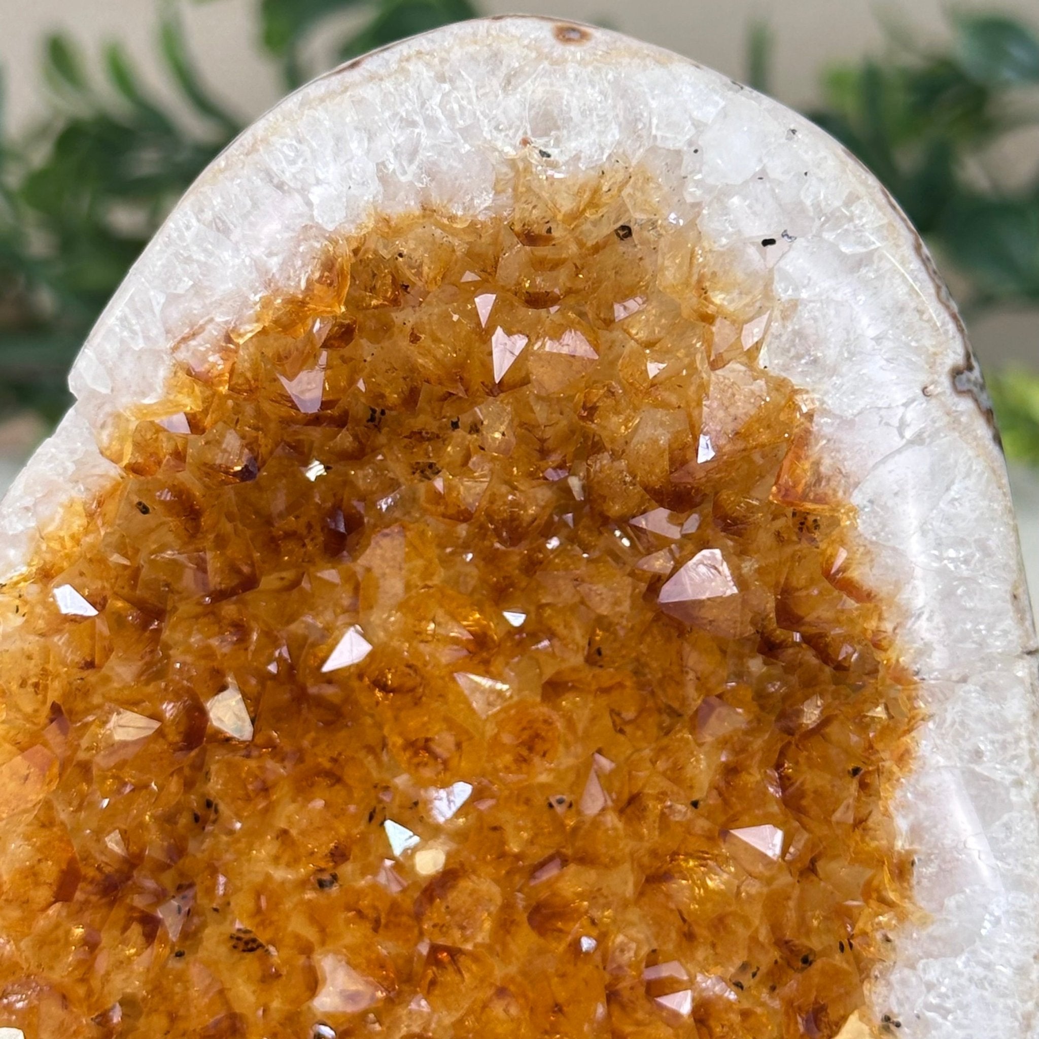 Extra Plus Quality Citrine Cluster w/ flat base, 4.2" Tall 5612 - 0220 - Brazil GemsBrazil GemsExtra Plus Quality Citrine Cluster w/ flat base, 4.2" Tall 5612 - 0220Small Clusters with Flat Bases5612 - 0220