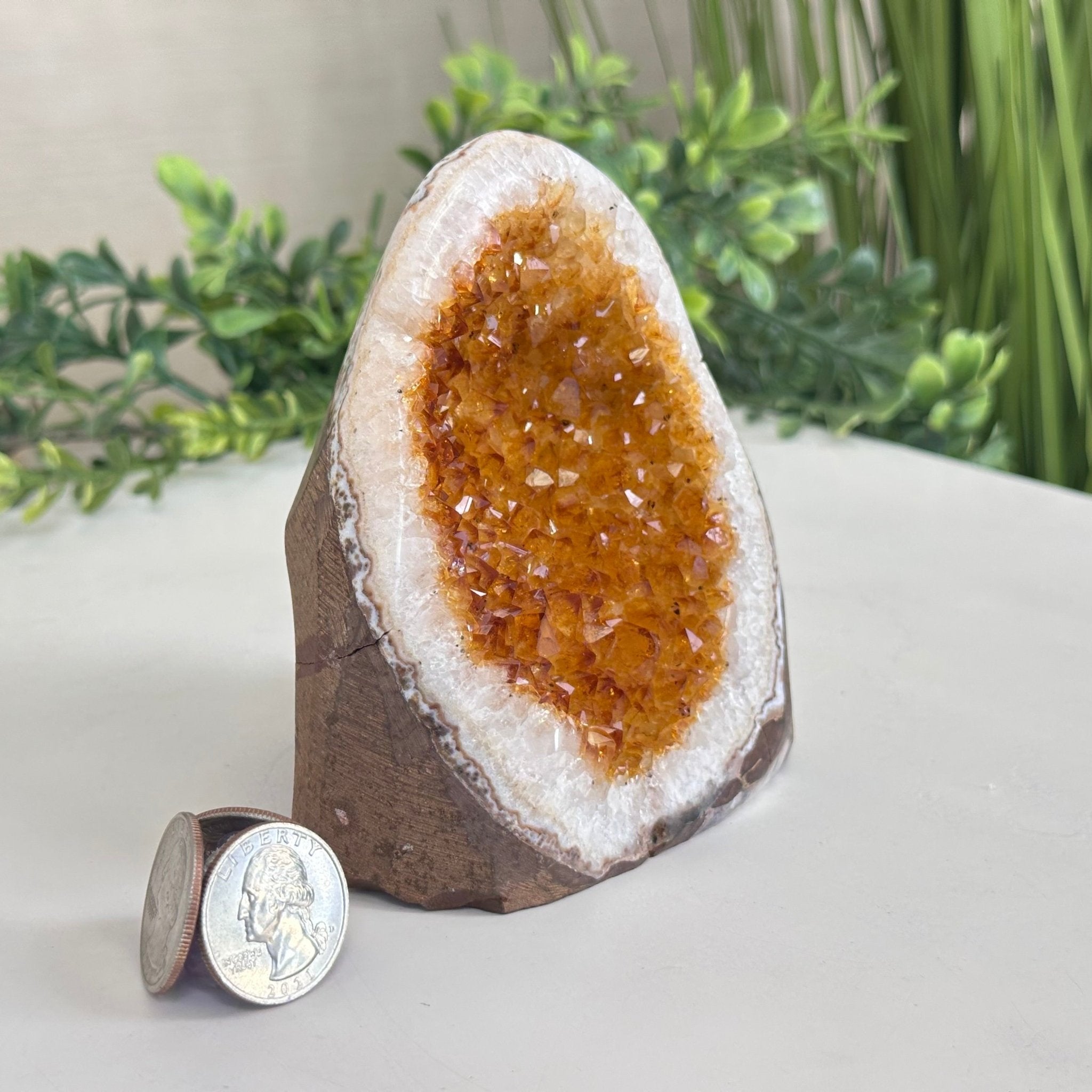 Extra Plus Quality Citrine Cluster w/ flat base, 4.2" Tall 5612 - 0220 - Brazil GemsBrazil GemsExtra Plus Quality Citrine Cluster w/ flat base, 4.2" Tall 5612 - 0220Small Clusters with Flat Bases5612 - 0220