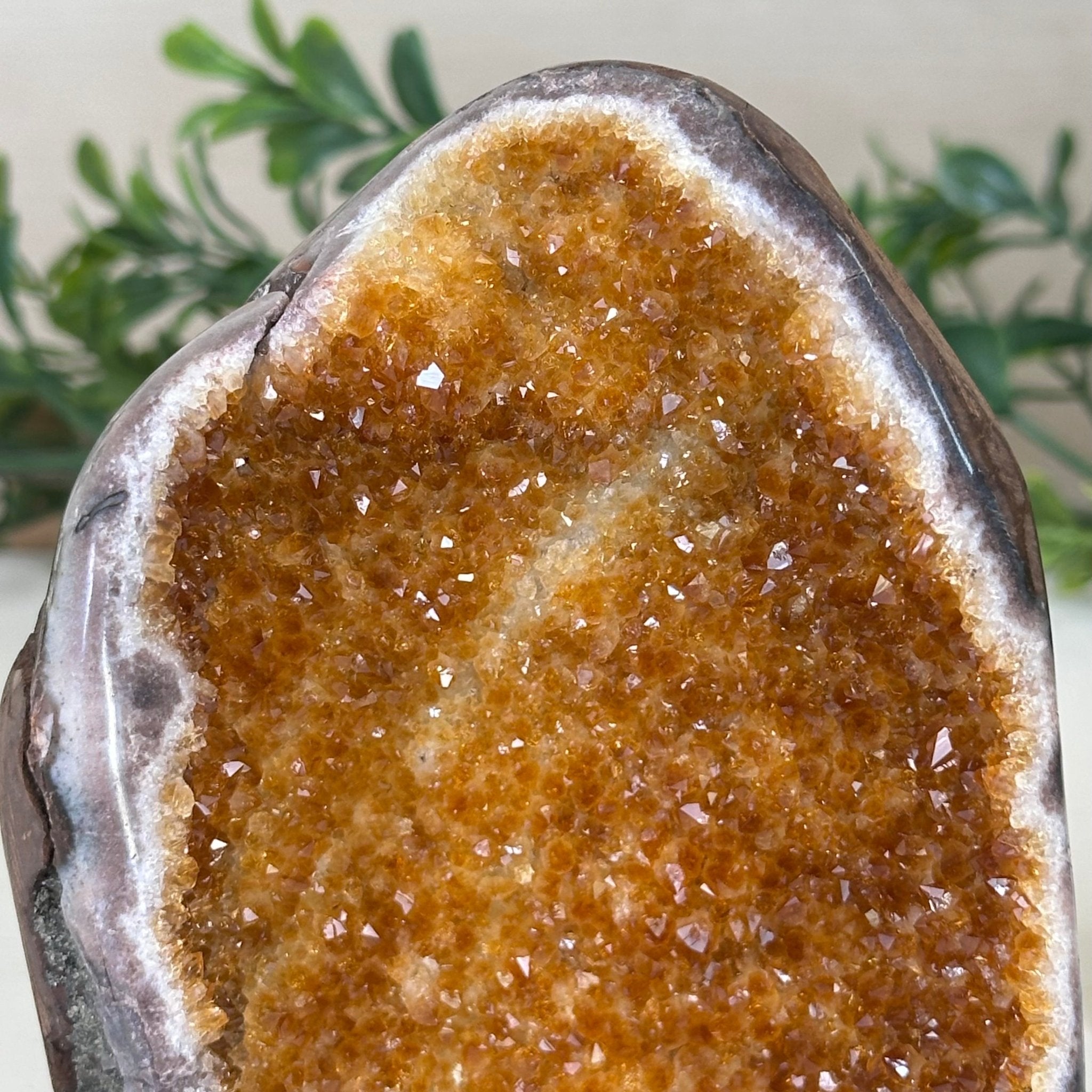 Extra Plus Quality Citrine Cluster w/ flat base, 4.3" Tall 5612 - 0203 - Brazil GemsBrazil GemsExtra Plus Quality Citrine Cluster w/ flat base, 4.3" Tall 5612 - 0203Small Clusters with Flat Bases5612 - 0203
