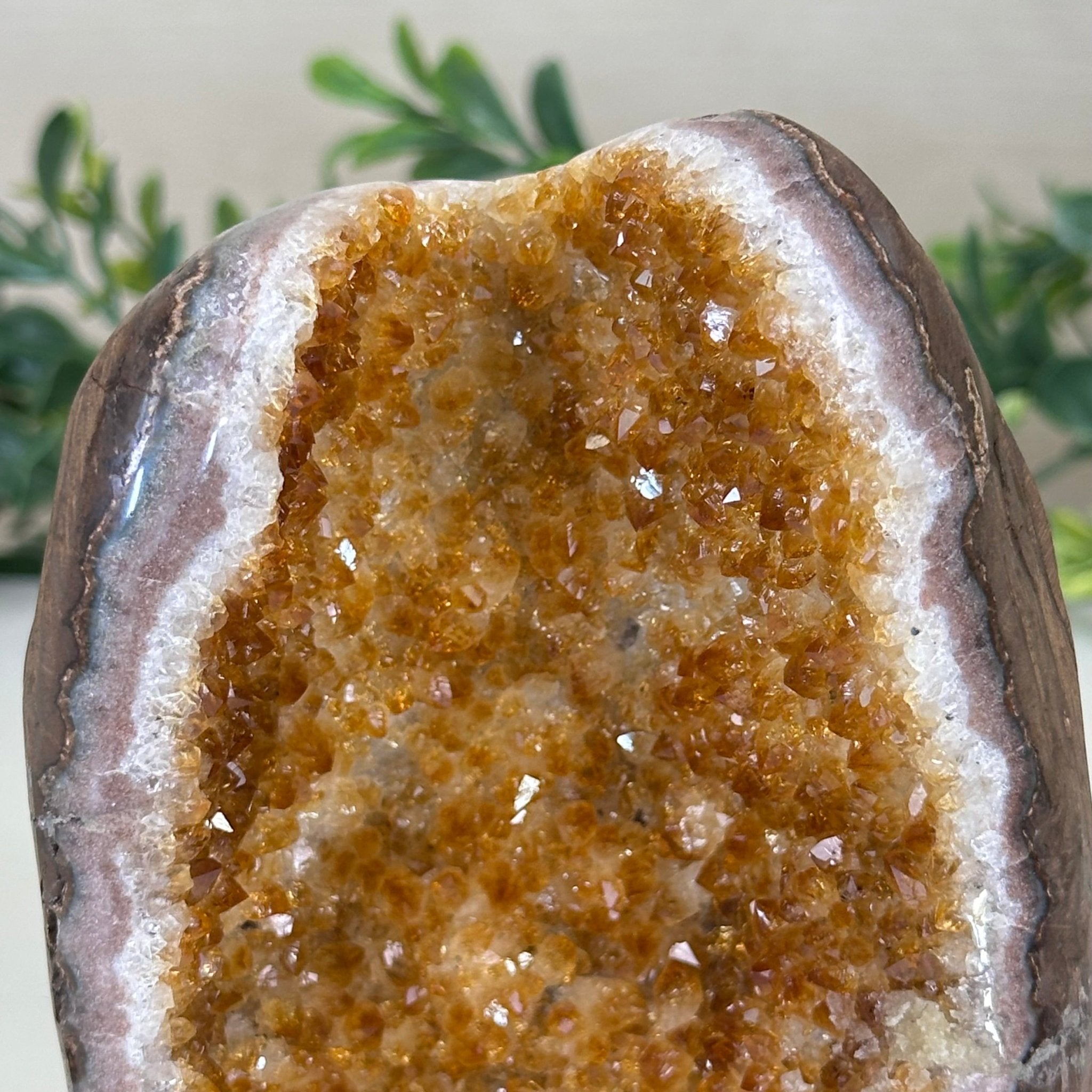 Extra Plus Quality Citrine Cluster w/ flat base, 4.4" Tall 5612 - 0213 - Brazil GemsBrazil GemsExtra Plus Quality Citrine Cluster w/ flat base, 4.4" Tall 5612 - 0213Small Clusters with Flat Bases5612 - 0213