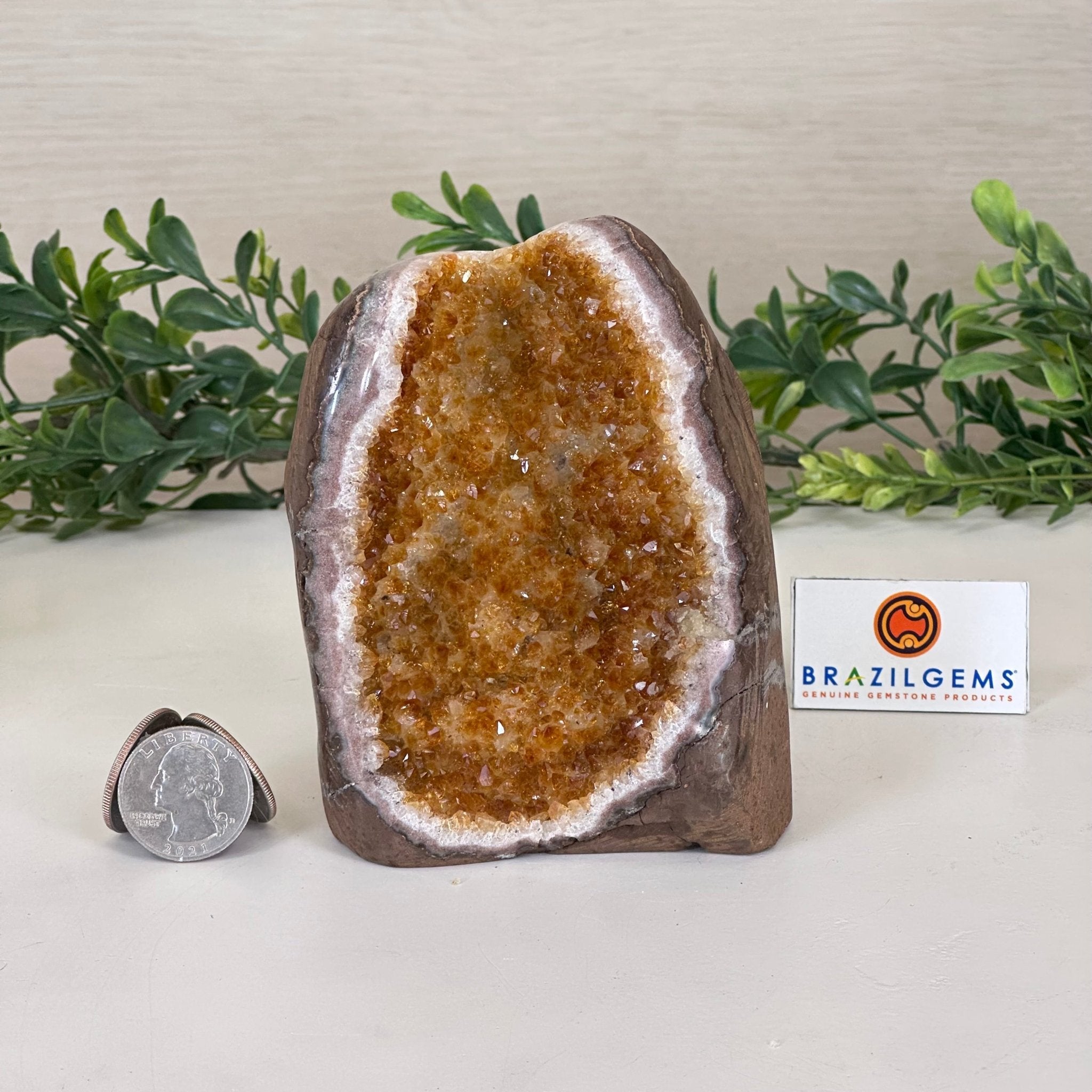 Extra Plus Quality Citrine Cluster w/ flat base, 4.4" Tall 5612 - 0213 - Brazil GemsBrazil GemsExtra Plus Quality Citrine Cluster w/ flat base, 4.4" Tall 5612 - 0213Small Clusters with Flat Bases5612 - 0213