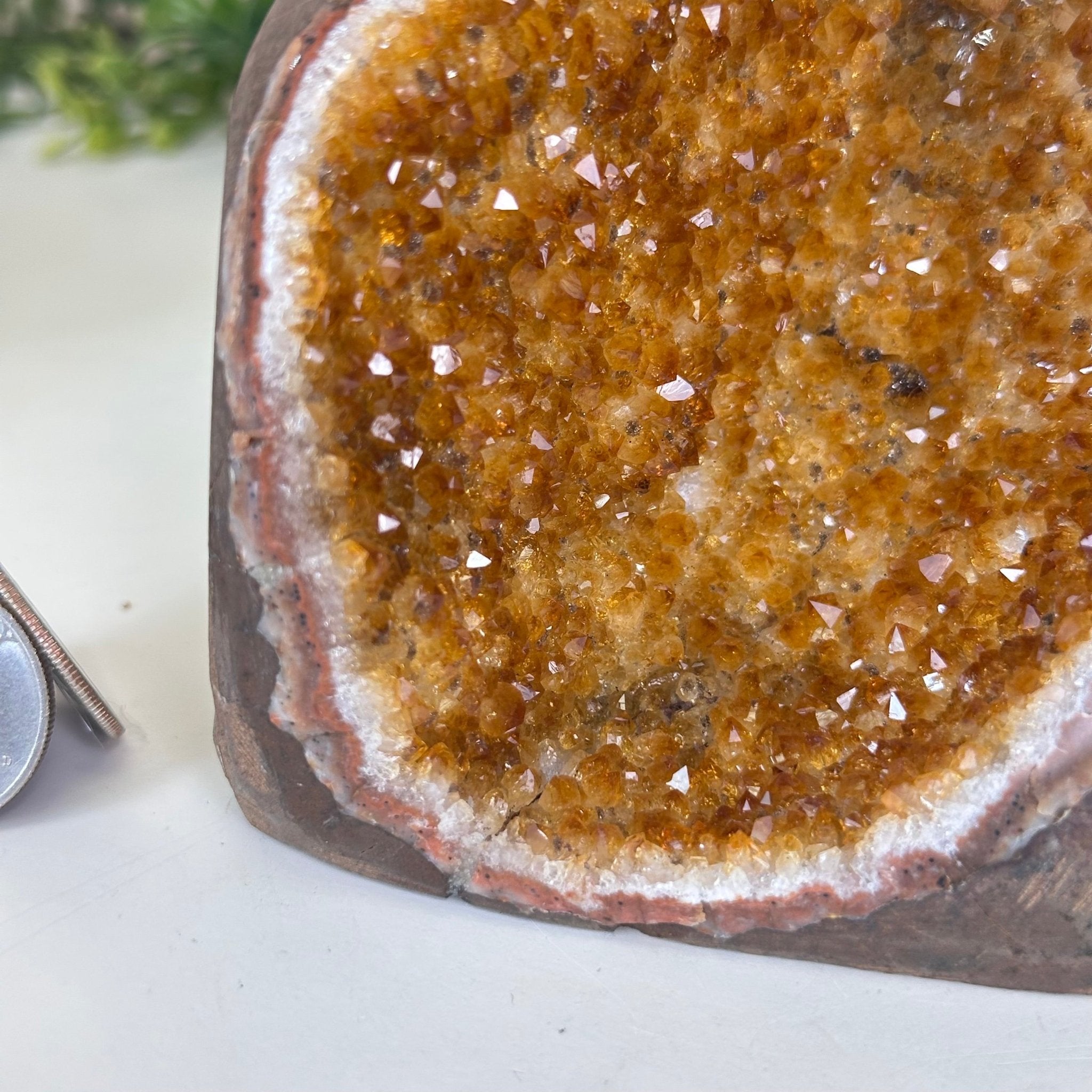 Extra Plus Quality Citrine Cluster w/ flat base, 4.4" Tall 5612 - 0232 - Brazil GemsBrazil GemsExtra Plus Quality Citrine Cluster w/ flat base, 4.4" Tall 5612 - 0232Small Clusters with Flat Bases5612 - 0232