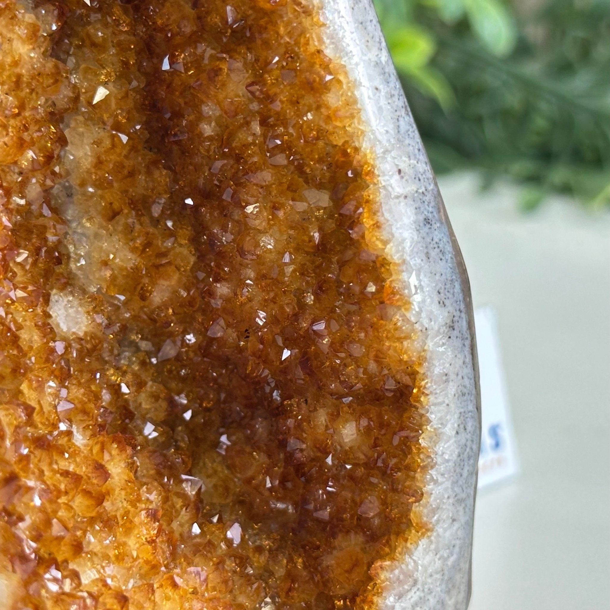 Extra Plus Quality Citrine Cluster w/ flat base, 4.5" Tall 5612 - 0228 - Brazil GemsBrazil GemsExtra Plus Quality Citrine Cluster w/ flat base, 4.5" Tall 5612 - 0228Small Clusters with Flat Bases5612 - 0228