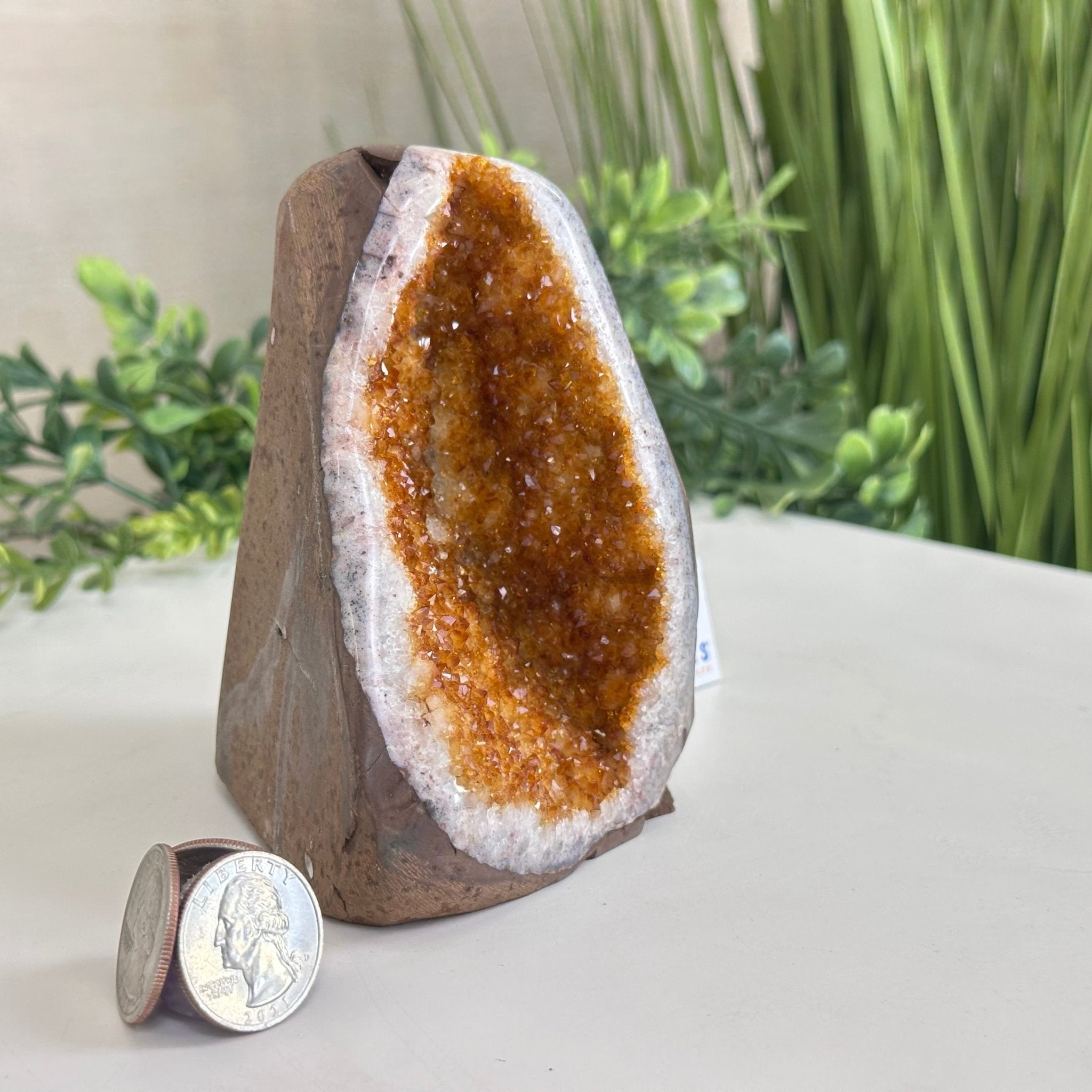 Extra Plus Quality Citrine Cluster w/ flat base, 4.5" Tall 5612 - 0228 - Brazil GemsBrazil GemsExtra Plus Quality Citrine Cluster w/ flat base, 4.5" Tall 5612 - 0228Small Clusters with Flat Bases5612 - 0228