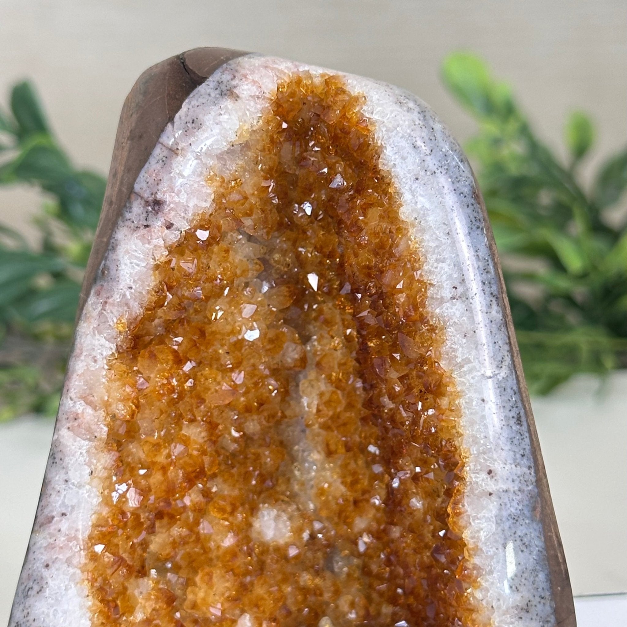 Extra Plus Quality Citrine Cluster w/ flat base, 4.5" Tall 5612 - 0228 - Brazil GemsBrazil GemsExtra Plus Quality Citrine Cluster w/ flat base, 4.5" Tall 5612 - 0228Small Clusters with Flat Bases5612 - 0228