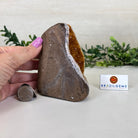 Extra Plus Quality Citrine Cluster w/ flat base, 4.5" Tall 5612 - 0228 - Brazil GemsBrazil GemsExtra Plus Quality Citrine Cluster w/ flat base, 4.5" Tall 5612 - 0228Small Clusters with Flat Bases5612 - 0228
