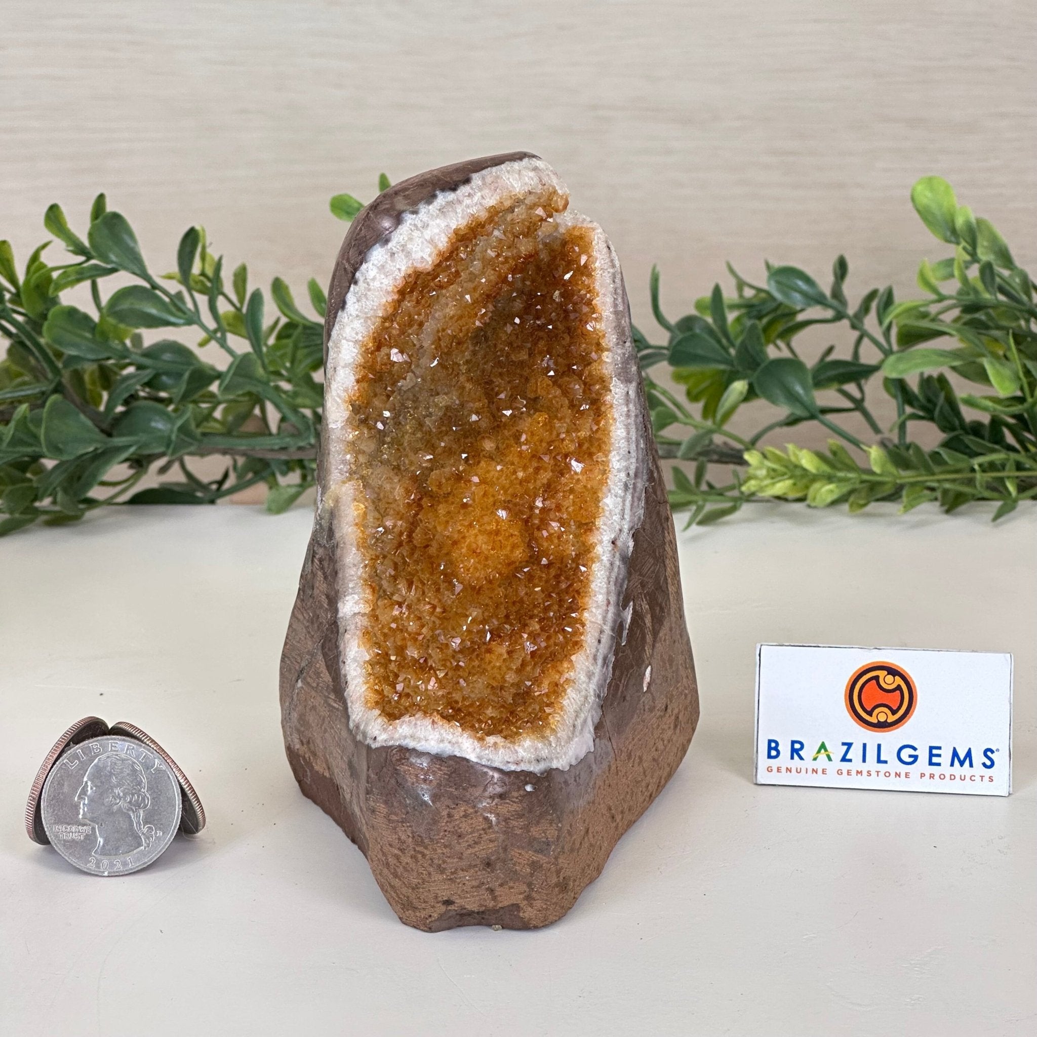 Extra Plus Quality Citrine Cluster w/ flat base, 4.6" Tall 5612 - 0215 - Brazil GemsBrazil GemsExtra Plus Quality Citrine Cluster w/ flat base, 4.6" Tall 5612 - 0215Small Clusters with Flat Bases5612 - 0215