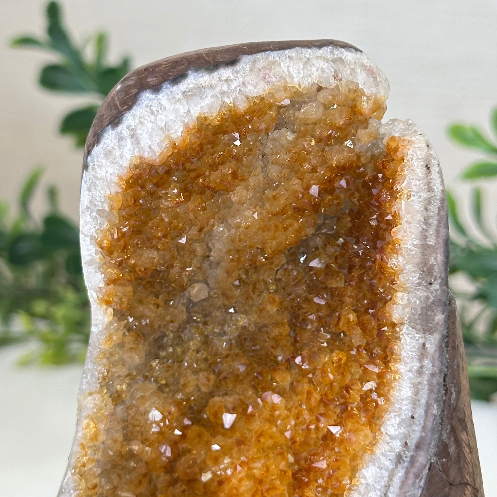 Extra Plus Quality Citrine Cluster w/ flat base, 4.6" Tall 5612 - 0215 - Brazil GemsBrazil GemsExtra Plus Quality Citrine Cluster w/ flat base, 4.6" Tall 5612 - 0215Small Clusters with Flat Bases5612 - 0215