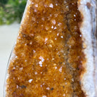 Extra Plus Quality Citrine Cluster w/ flat base, 4.7" Tall 5612 - 0224 - Brazil GemsBrazil GemsExtra Plus Quality Citrine Cluster w/ flat base, 4.7" Tall 5612 - 0224Small Clusters with Flat Bases5612 - 0224