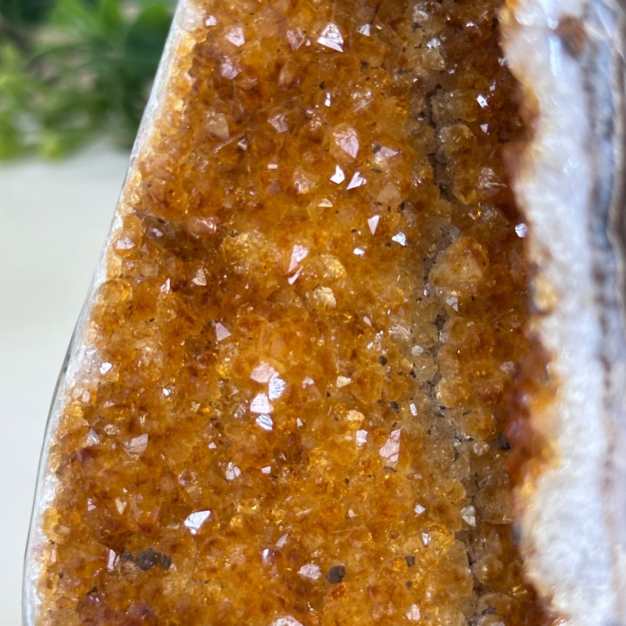 Extra Plus Quality Citrine Cluster w/ flat base, 4.7" Tall 5612 - 0224 - Brazil GemsBrazil GemsExtra Plus Quality Citrine Cluster w/ flat base, 4.7" Tall 5612 - 0224Small Clusters with Flat Bases5612 - 0224