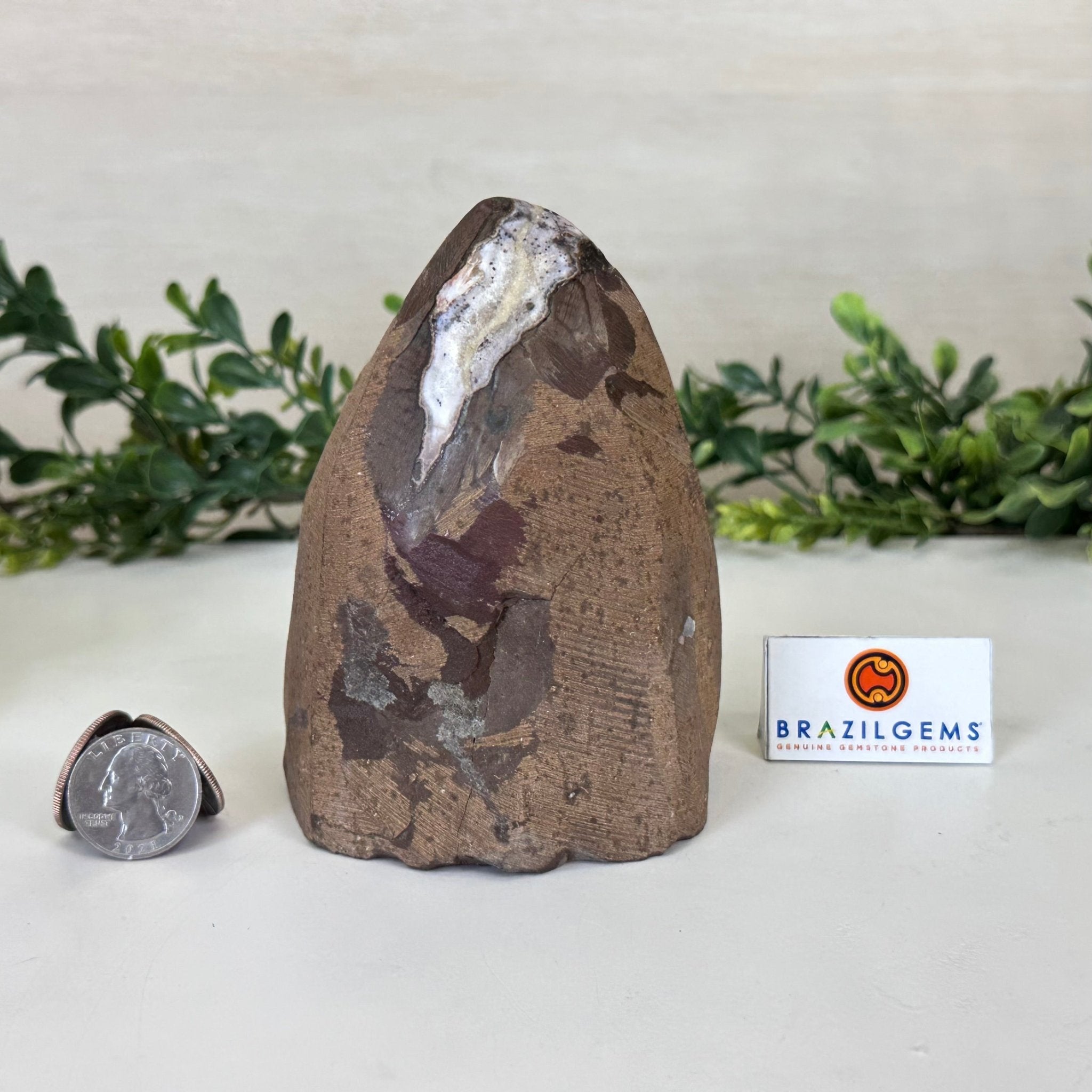 Extra Plus Quality Citrine Cluster w/ flat base, 4.7" Tall 5612 - 0224 - Brazil GemsBrazil GemsExtra Plus Quality Citrine Cluster w/ flat base, 4.7" Tall 5612 - 0224Small Clusters with Flat Bases5612 - 0224
