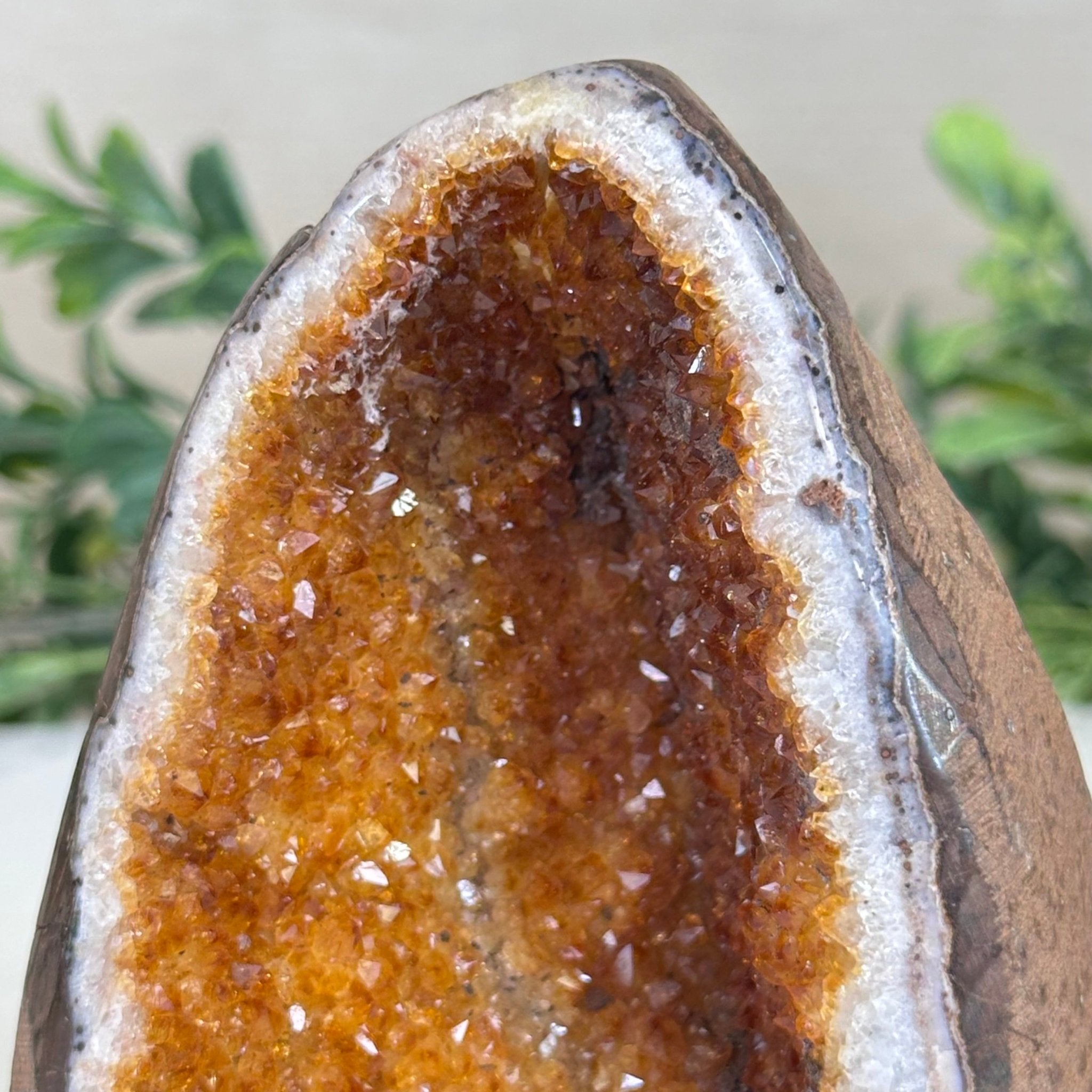 Extra Plus Quality Citrine Cluster w/ flat base, 4.7" Tall 5612 - 0224 - Brazil GemsBrazil GemsExtra Plus Quality Citrine Cluster w/ flat base, 4.7" Tall 5612 - 0224Small Clusters with Flat Bases5612 - 0224