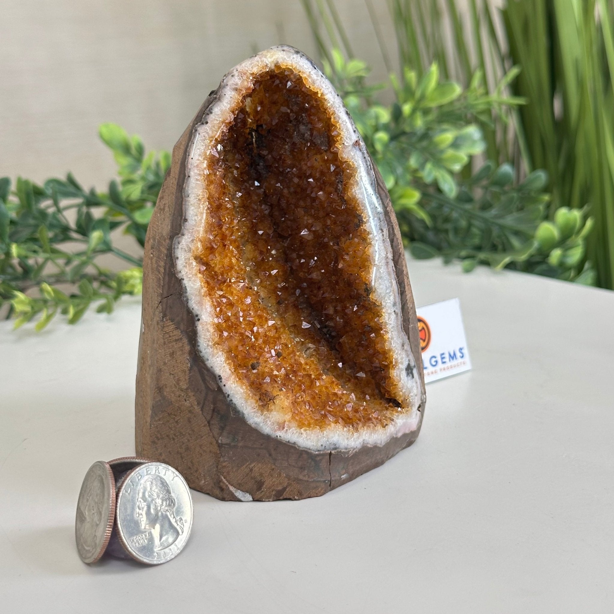 Extra Plus Quality Citrine Cluster w/ flat base, 4.7" Tall 5612 - 0224 - Brazil GemsBrazil GemsExtra Plus Quality Citrine Cluster w/ flat base, 4.7" Tall 5612 - 0224Small Clusters with Flat Bases5612 - 0224
