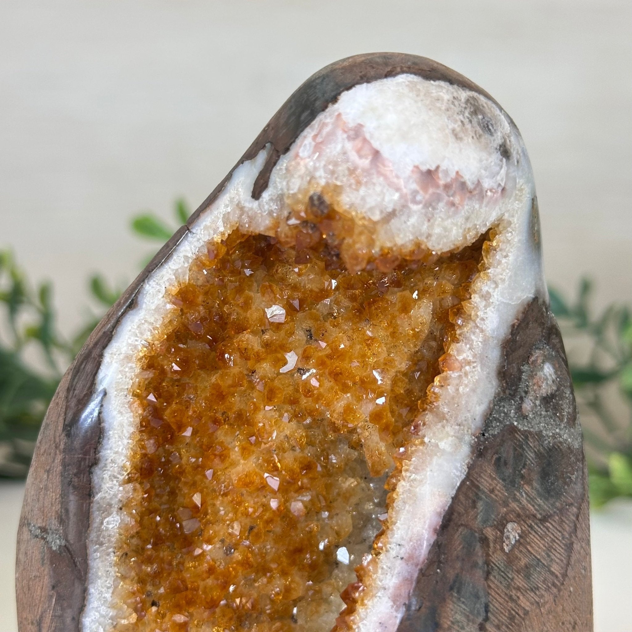 Extra Plus Quality Citrine Cluster w/ flat base, 5" Tall 5612 - 0204 - Brazil GemsBrazil GemsExtra Plus Quality Citrine Cluster w/ flat base, 5" Tall 5612 - 0204Small Clusters with Flat Bases5612 - 0204