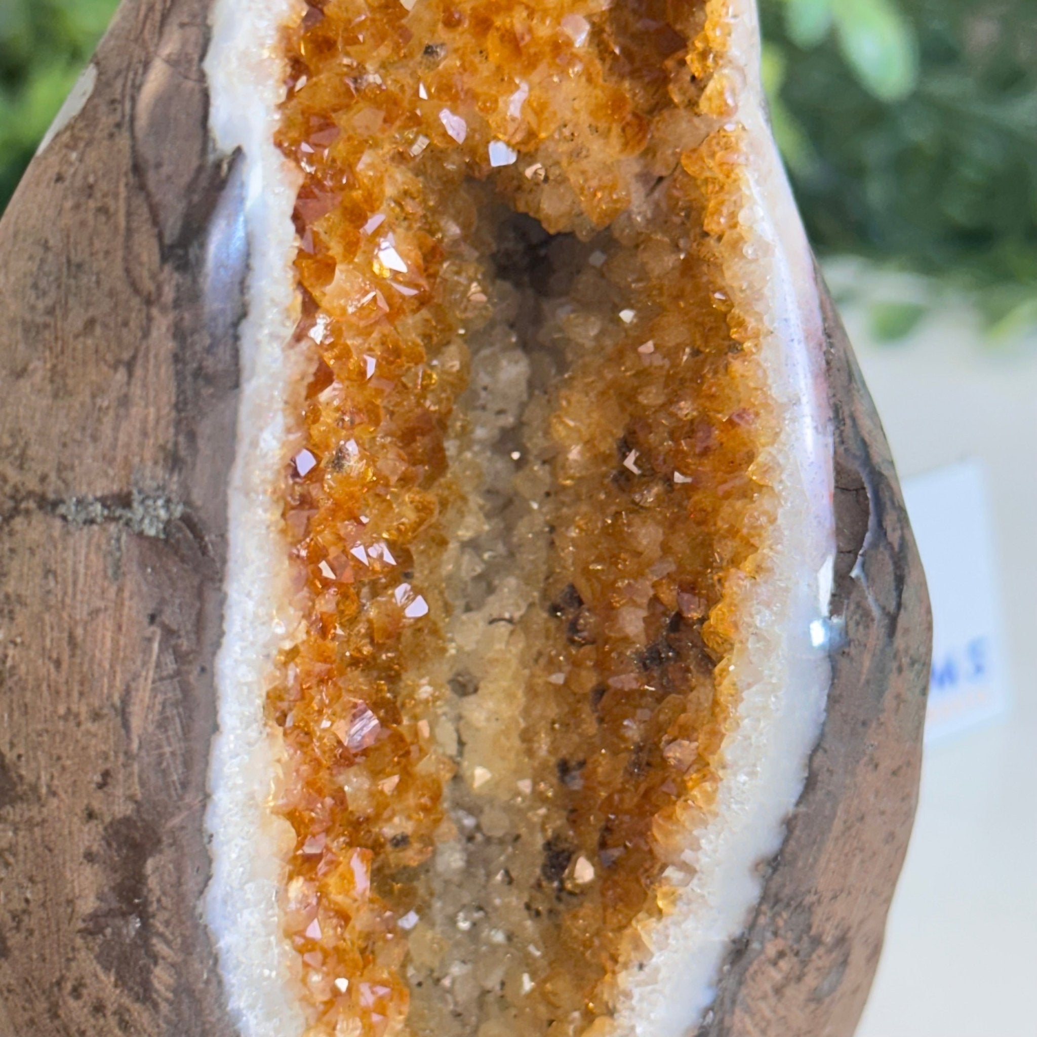 Extra Plus Quality Citrine Cluster w/ flat base, 5" Tall 5612 - 0204 - Brazil GemsBrazil GemsExtra Plus Quality Citrine Cluster w/ flat base, 5" Tall 5612 - 0204Small Clusters with Flat Bases5612 - 0204