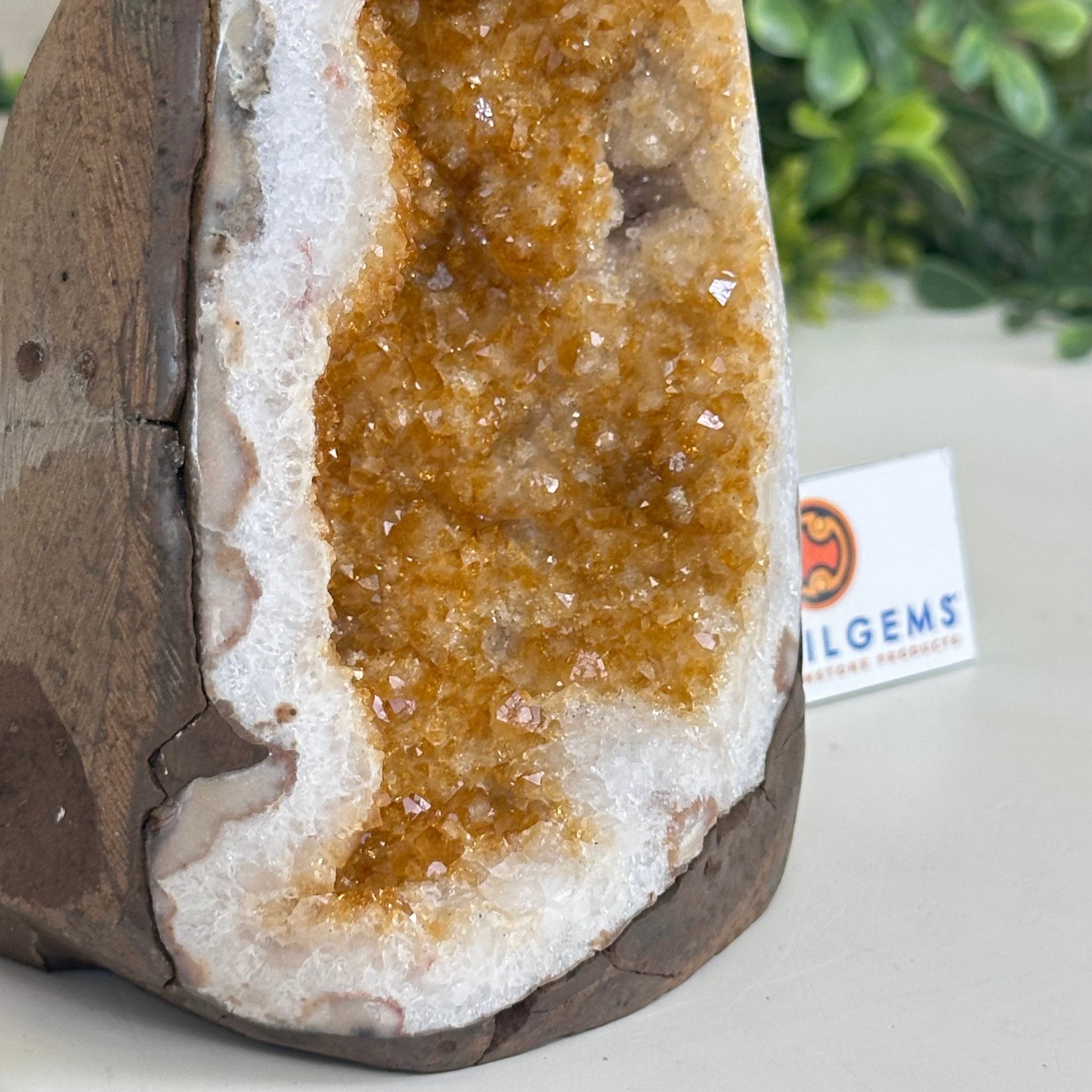Extra Plus Quality Citrine Cluster w/ flat base, 5.1" Tall 5612 - 0237 - Brazil GemsBrazil GemsExtra Plus Quality Citrine Cluster w/ flat base, 5.1" Tall 5612 - 0237Small Clusters with Flat Bases5612 - 0237