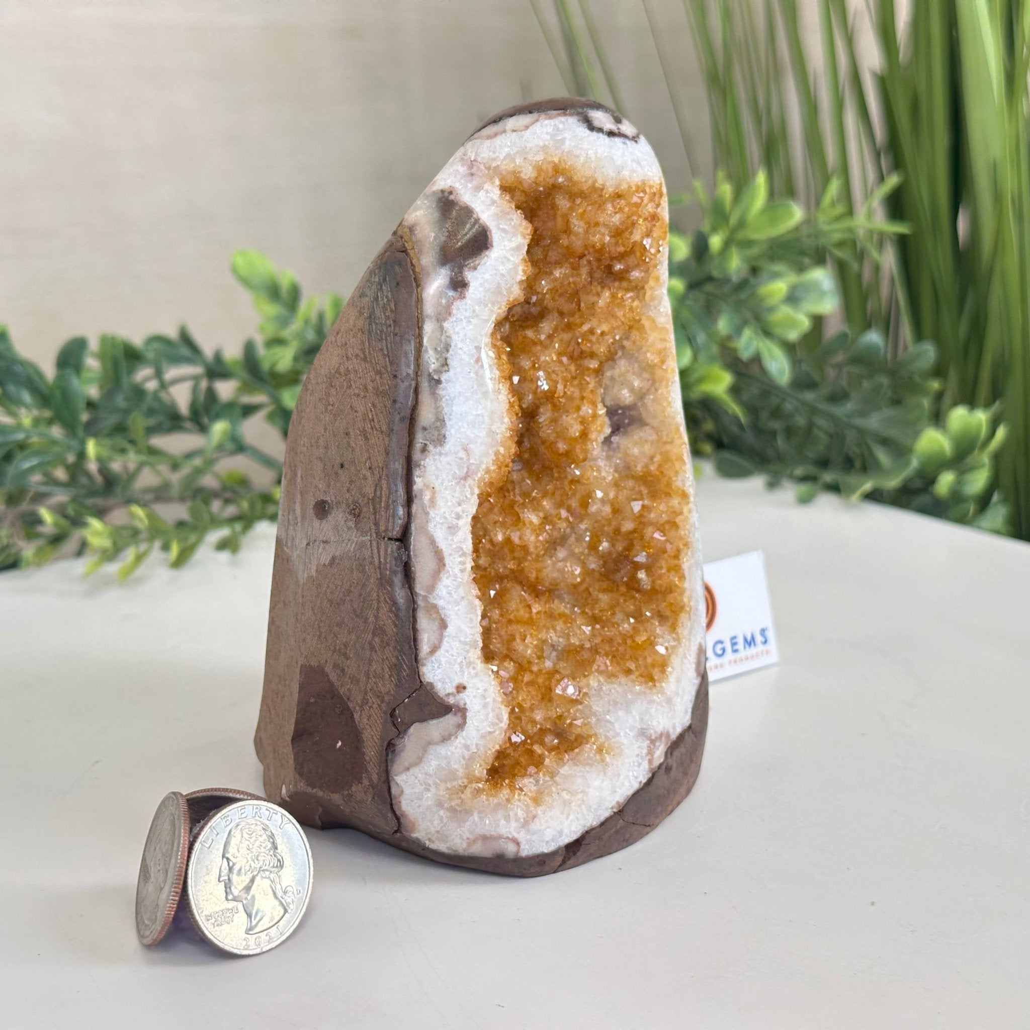 Extra Plus Quality Citrine Cluster w/ flat base, 5.1" Tall 5612 - 0237 - Brazil GemsBrazil GemsExtra Plus Quality Citrine Cluster w/ flat base, 5.1" Tall 5612 - 0237Small Clusters with Flat Bases5612 - 0237