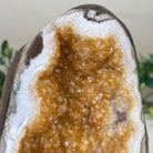 Extra Plus Quality Citrine Cluster w/ flat base, 5.1" Tall 5612 - 0237 - Brazil GemsBrazil GemsExtra Plus Quality Citrine Cluster w/ flat base, 5.1" Tall 5612 - 0237Small Clusters with Flat Bases5612 - 0237