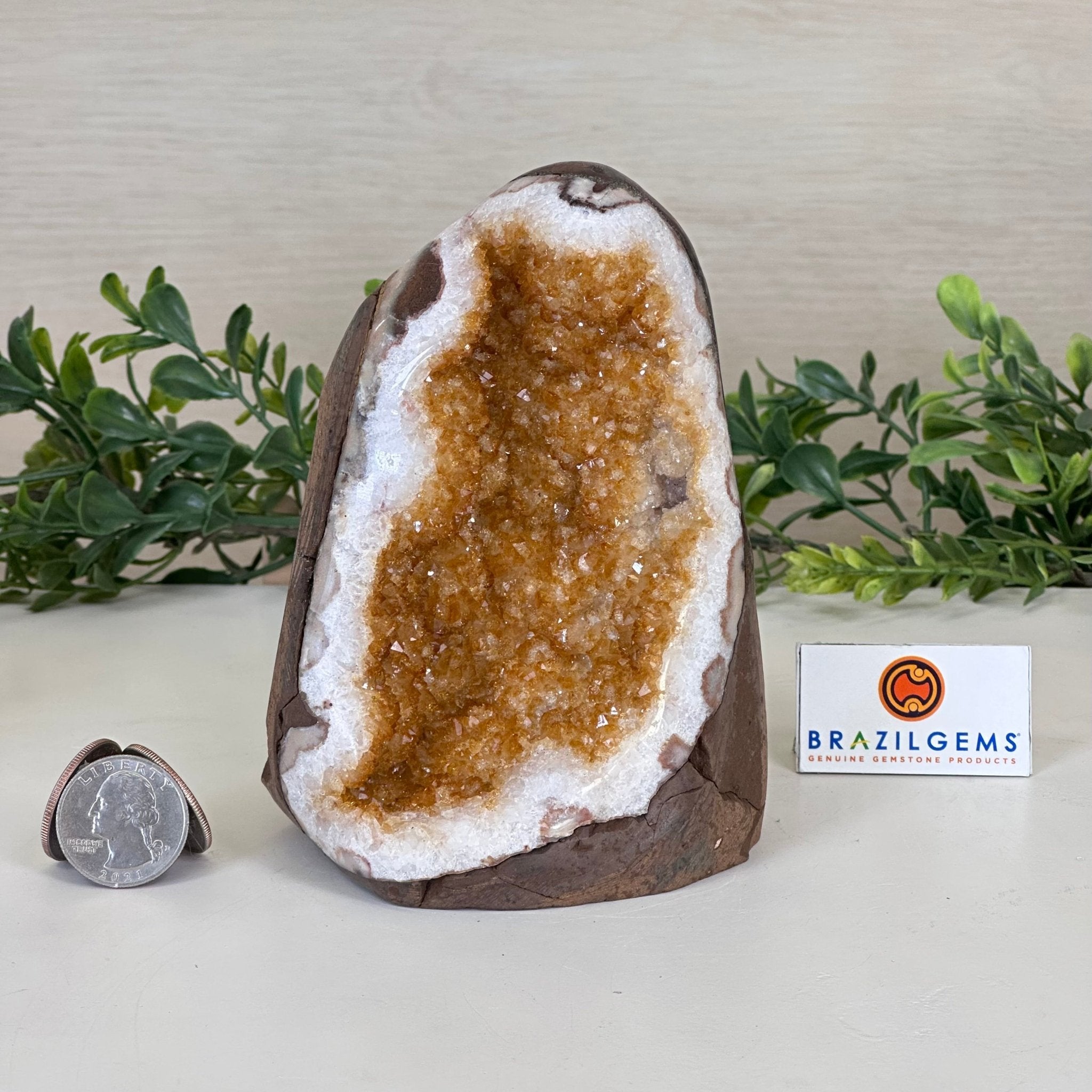 Extra Plus Quality Citrine Cluster w/ flat base, 5.1" Tall 5612 - 0237 - Brazil GemsBrazil GemsExtra Plus Quality Citrine Cluster w/ flat base, 5.1" Tall 5612 - 0237Small Clusters with Flat Bases5612 - 0237