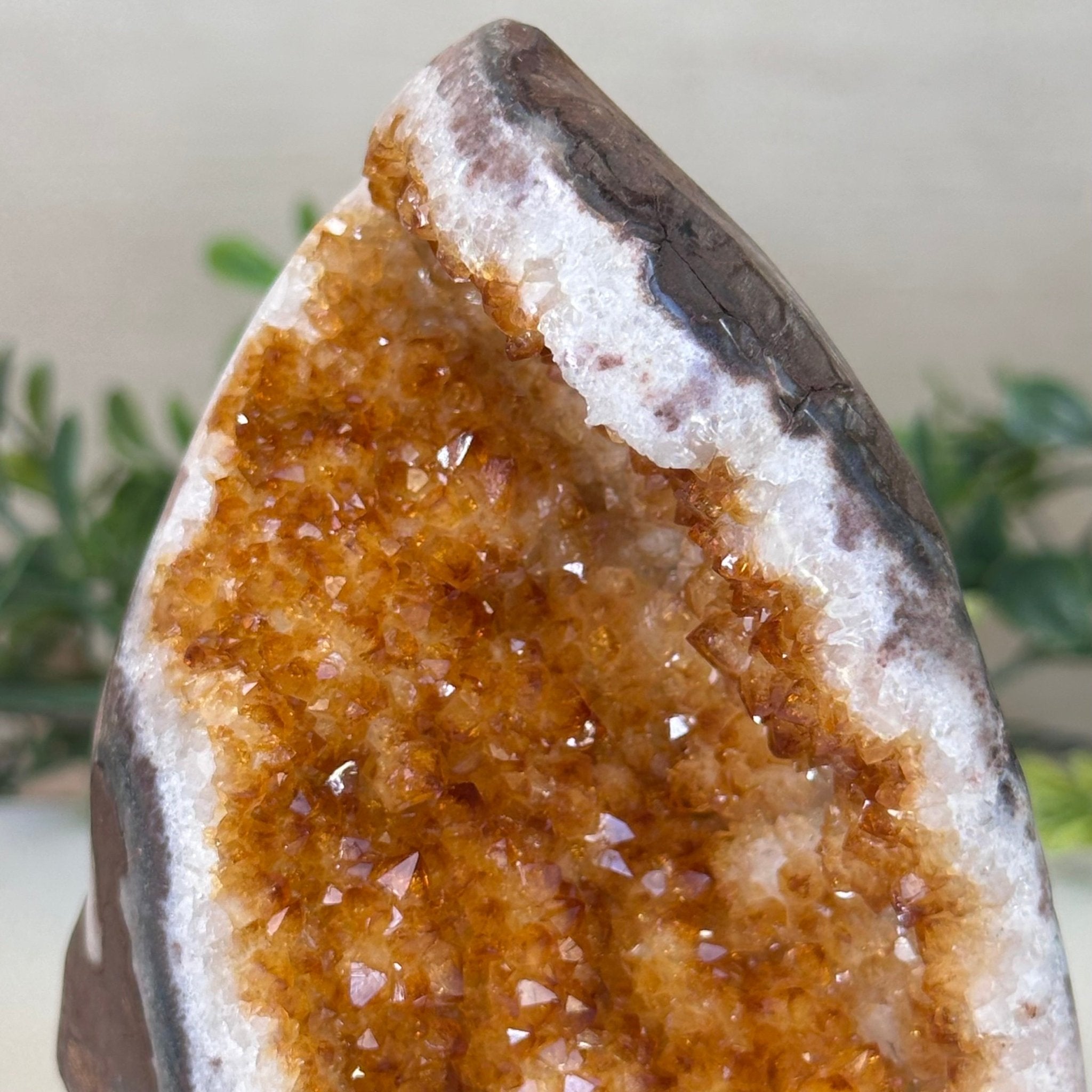 Extra Plus Quality Citrine Cluster w/ flat base, 5.2" Tall 5612 - 0229 - Brazil GemsBrazil GemsExtra Plus Quality Citrine Cluster w/ flat base, 5.2" Tall 5612 - 0229Small Clusters with Flat Bases5612 - 0229