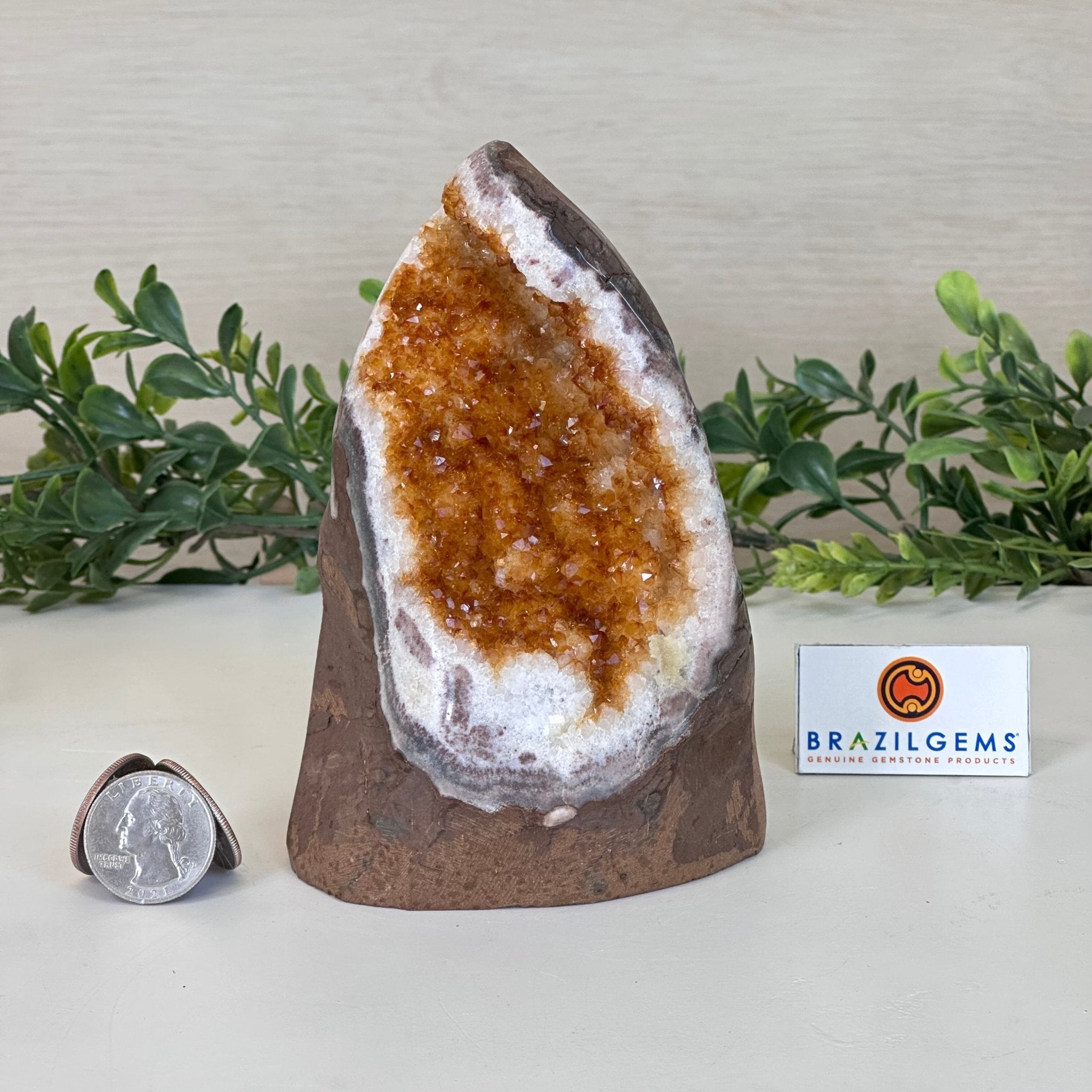 Extra Plus Quality Citrine Cluster w/ flat base, 5.2" Tall 5612 - 0229 - Brazil GemsBrazil GemsExtra Plus Quality Citrine Cluster w/ flat base, 5.2" Tall 5612 - 0229Small Clusters with Flat Bases5612 - 0229