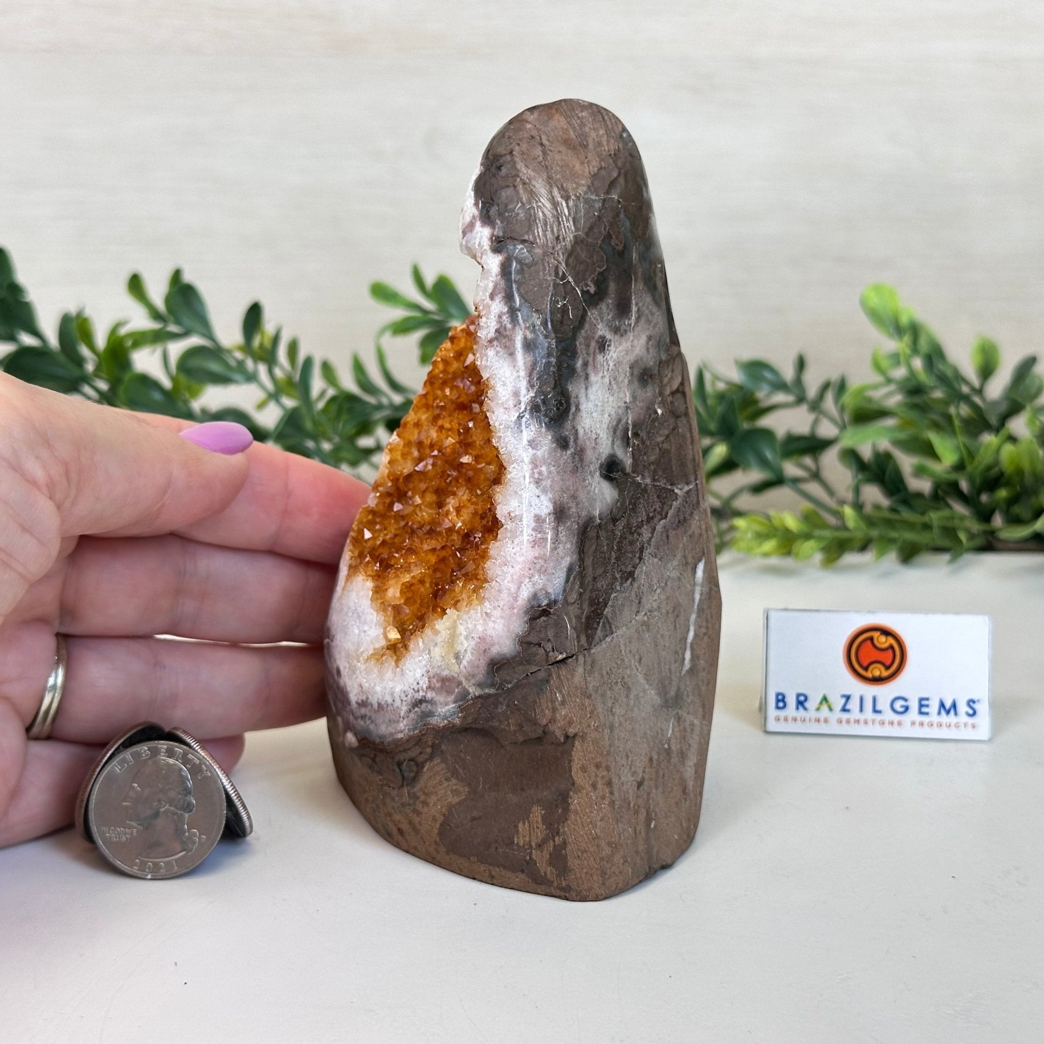 Extra Plus Quality Citrine Cluster w/ flat base, 5.2" Tall 5612 - 0229 - Brazil GemsBrazil GemsExtra Plus Quality Citrine Cluster w/ flat base, 5.2" Tall 5612 - 0229Small Clusters with Flat Bases5612 - 0229