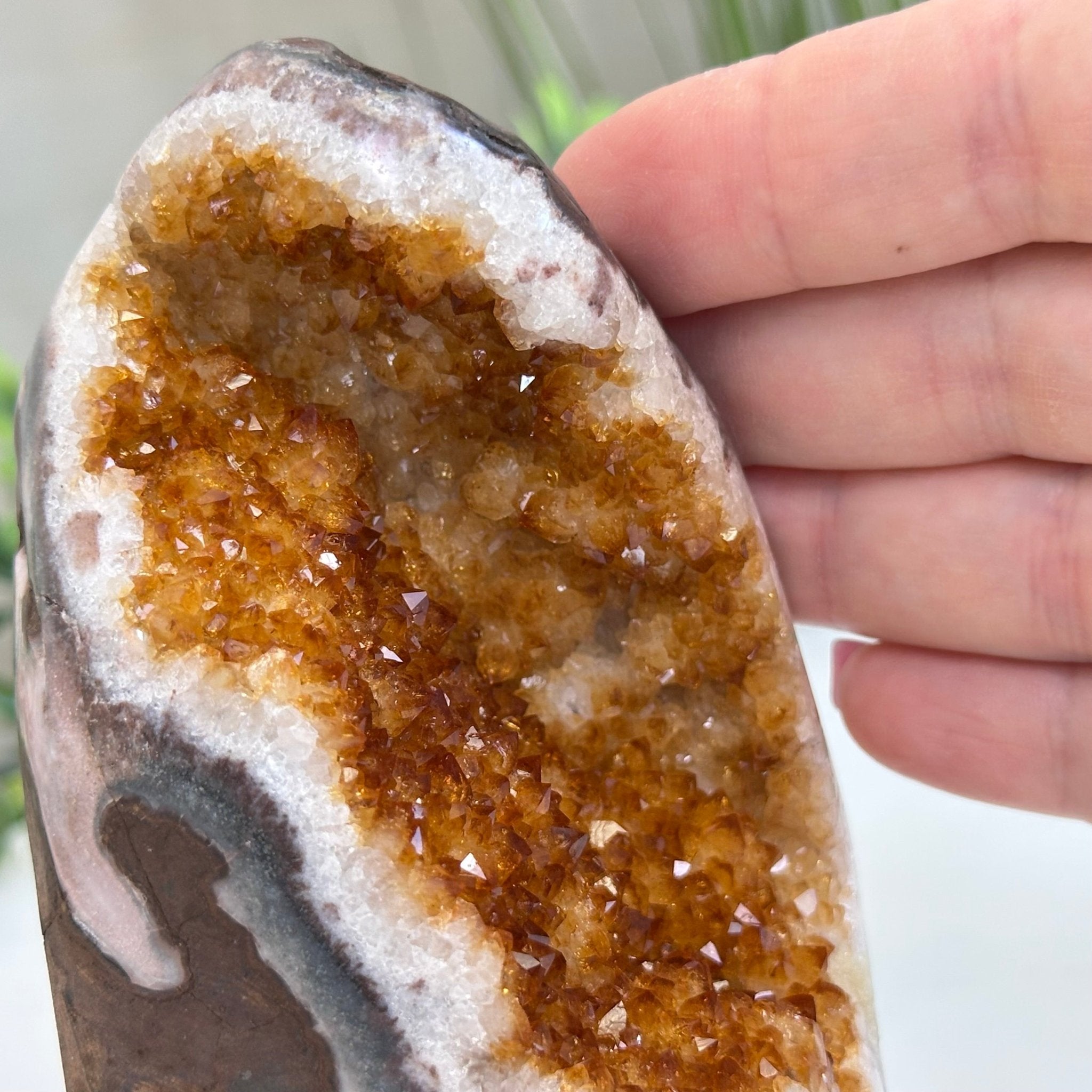 Extra Plus Quality Citrine Cluster w/ flat base, 5.2" Tall 5612 - 0229 - Brazil GemsBrazil GemsExtra Plus Quality Citrine Cluster w/ flat base, 5.2" Tall 5612 - 0229Small Clusters with Flat Bases5612 - 0229