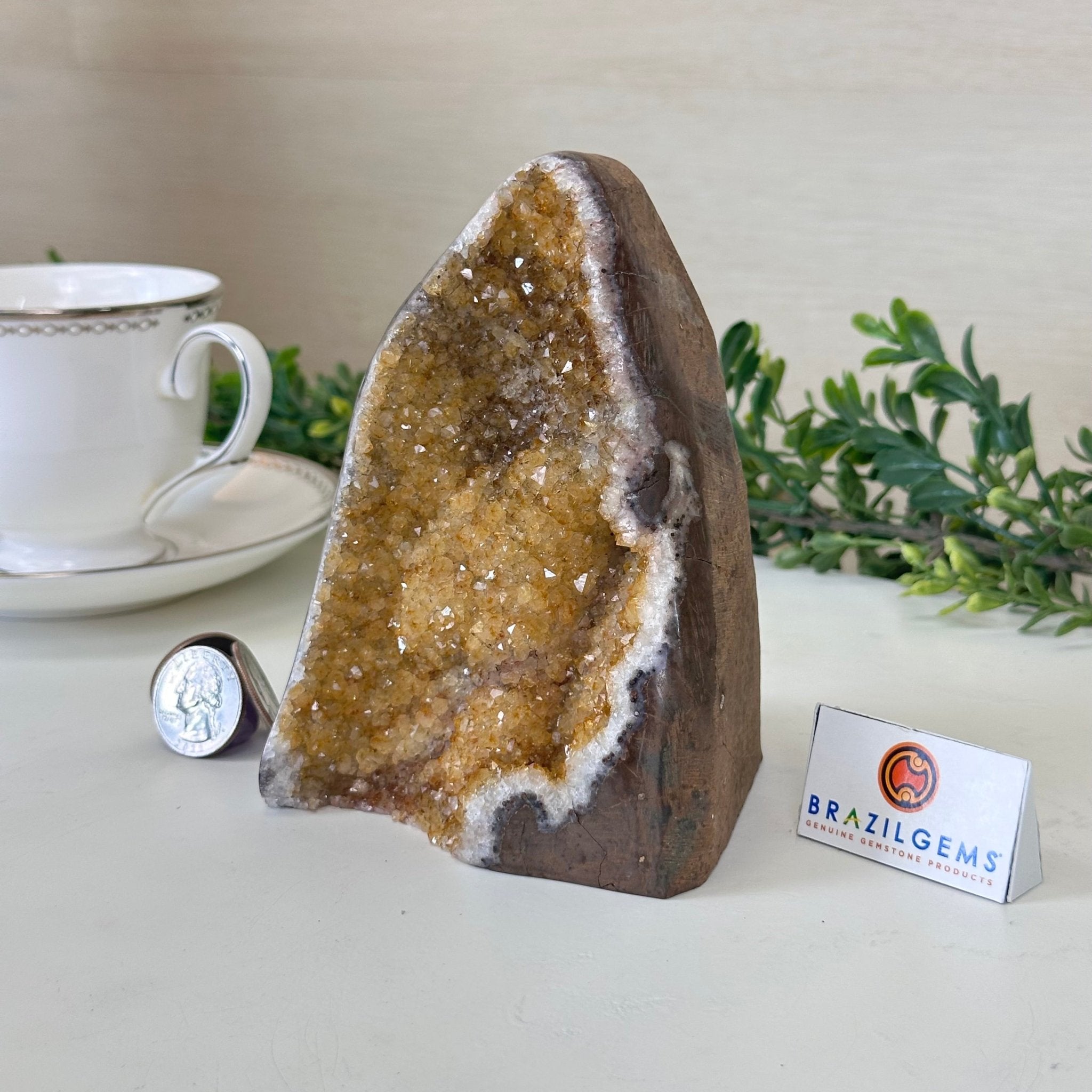 Extra Plus Quality Citrine Cluster w/ flat base, 5.2" Tall 5612 - 0239 - Brazil GemsBrazil GemsExtra Plus Quality Citrine Cluster w/ flat base, 5.2" Tall 5612 - 0239Small Clusters with Flat Bases5612 - 0239