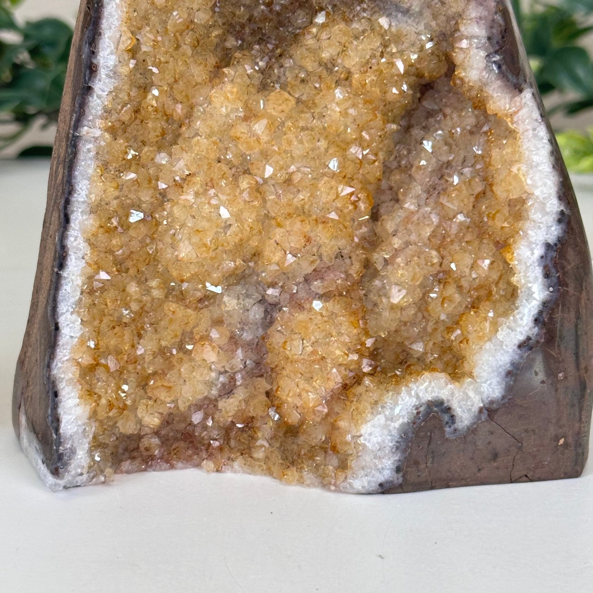 Extra Plus Quality Citrine Cluster w/ flat base, 5.2" Tall 5612 - 0239 - Brazil GemsBrazil GemsExtra Plus Quality Citrine Cluster w/ flat base, 5.2" Tall 5612 - 0239Small Clusters with Flat Bases5612 - 0239